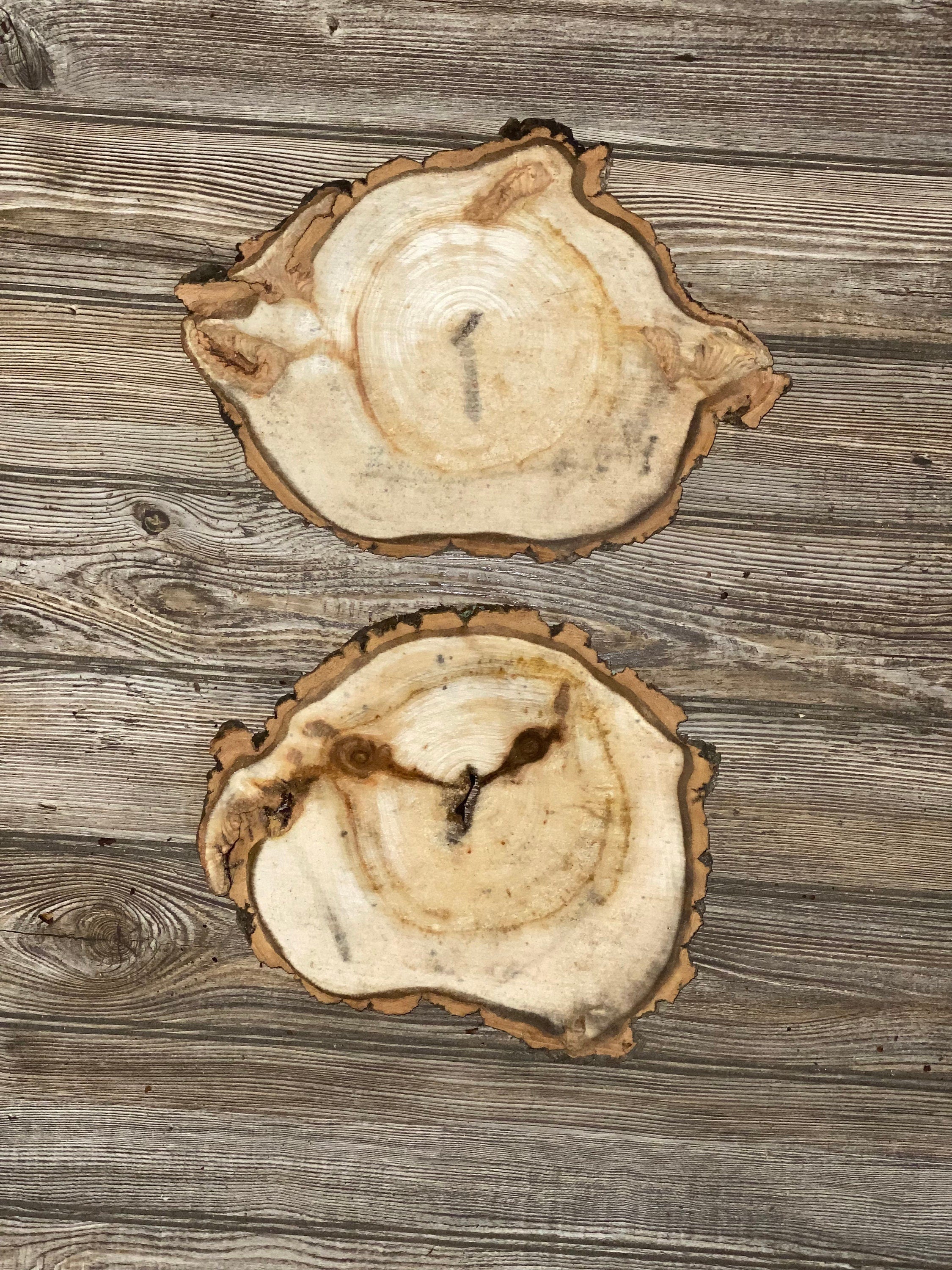 Two Aspen Burl Slices, Approximately 11-13 Inches Long by 9 Inches Wide and 3/4 Inches Thick