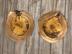 Two Hickory Burl Slices, Approximately 10.5 Inches Long by 9.5 Inches Wide and 3/4 Inch Thick