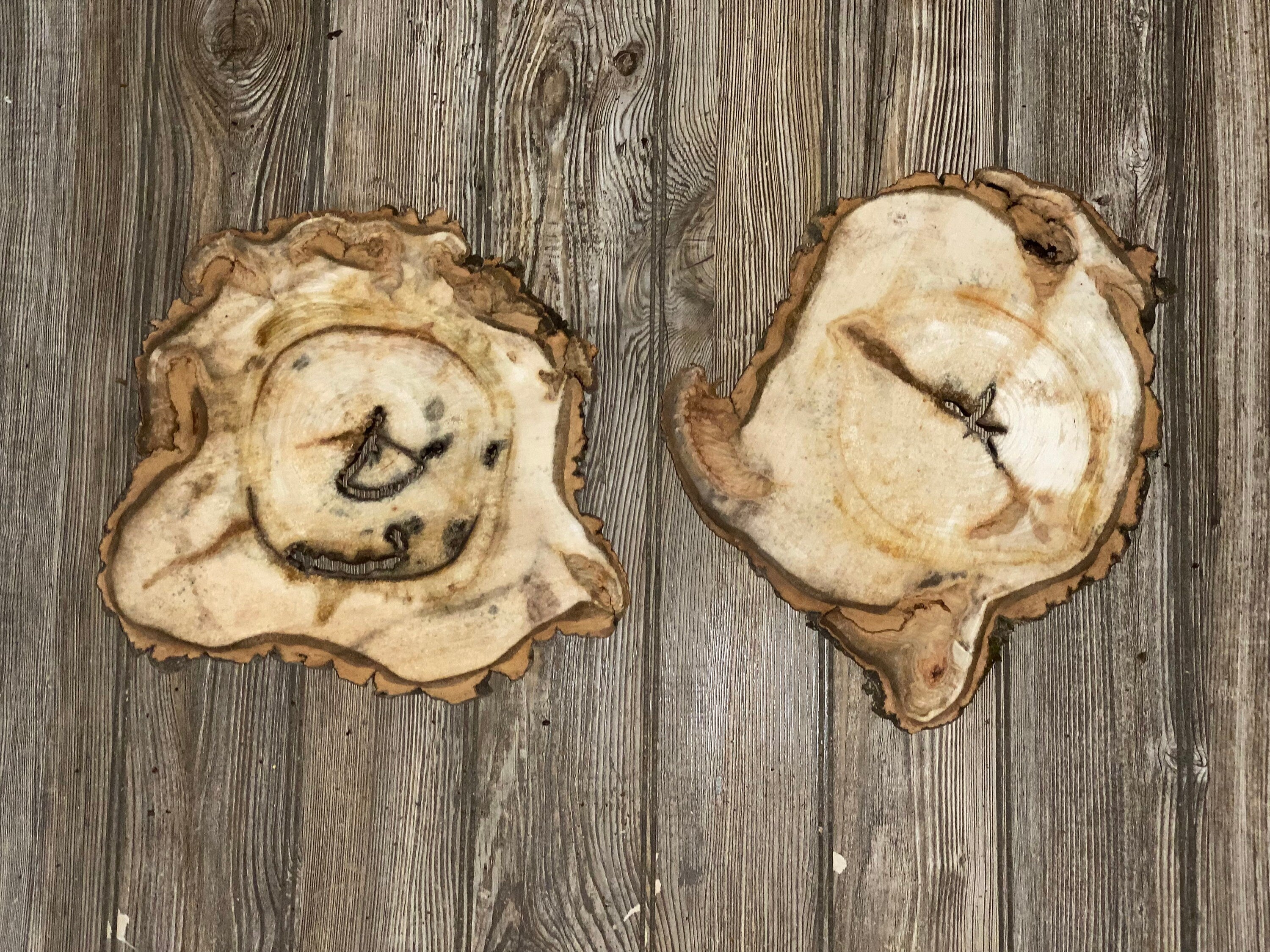 Two Aspen Burl Slices, Approximately 12.5 Inches Long by 11 Inches Wide and 3/4 Inches Thick