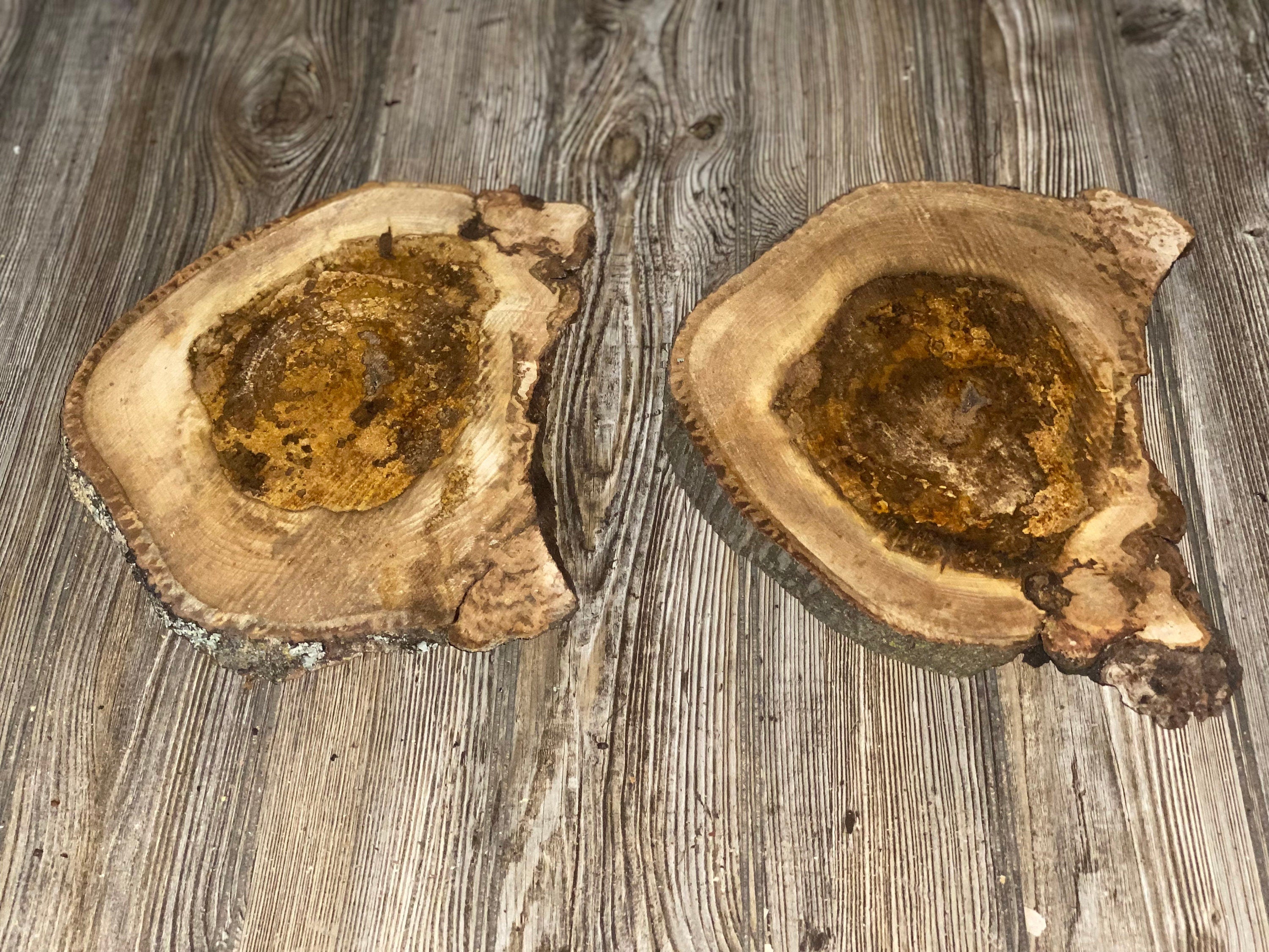 Two Hickory Burl Slices, Approximately 11.5-12 Inches Long by 9 Inches Wide and 3/4 Inch Thick