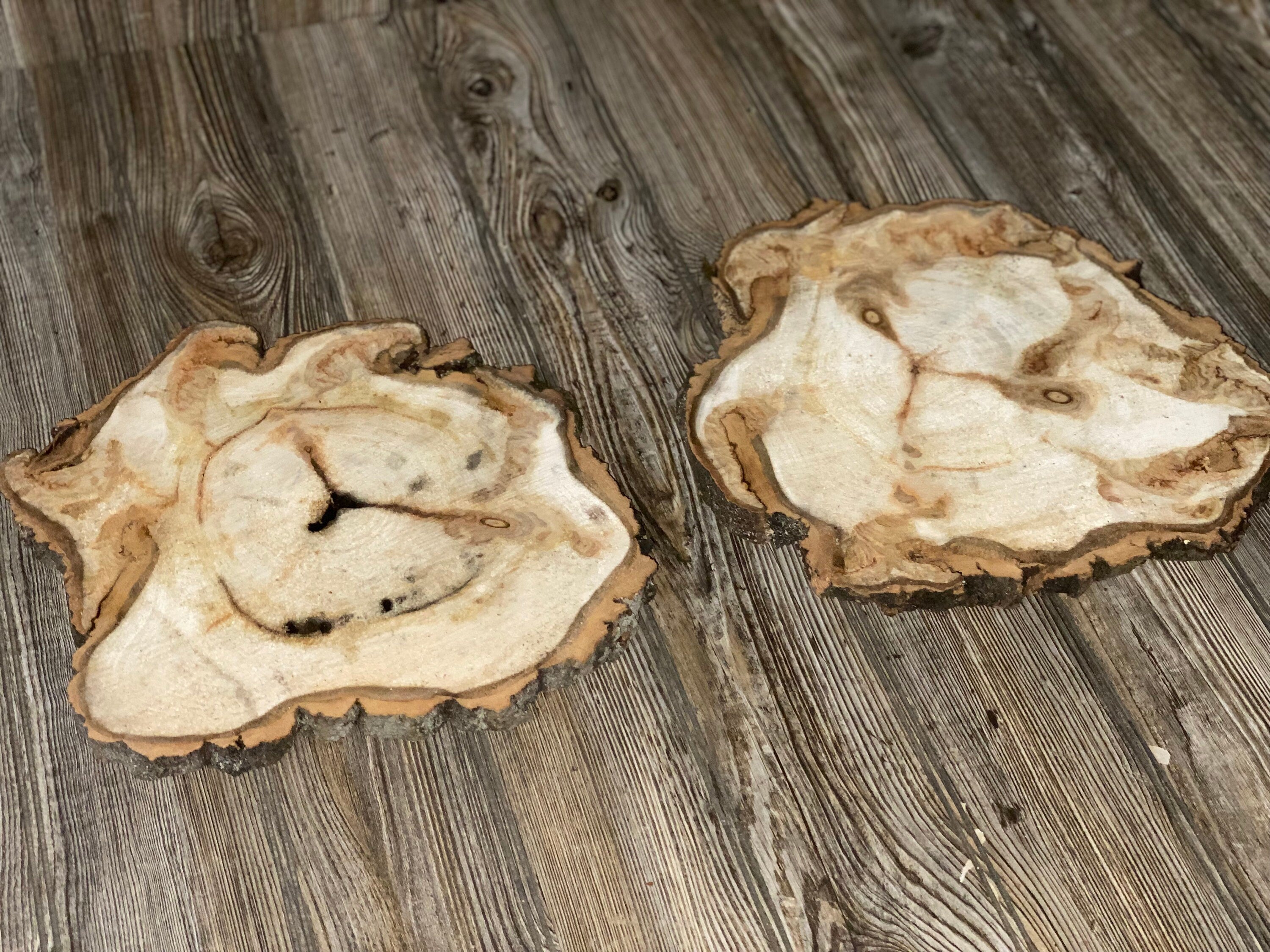 Two Aspen Burl Slices, Approximately 13 Inches Long by 12 Inches Wide and 3/4 Inches Thick