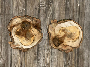 Two Aspen Burl Slices, Approximately 10 Inches Long by 10 Inches Wide and 3/4 Inches Thick