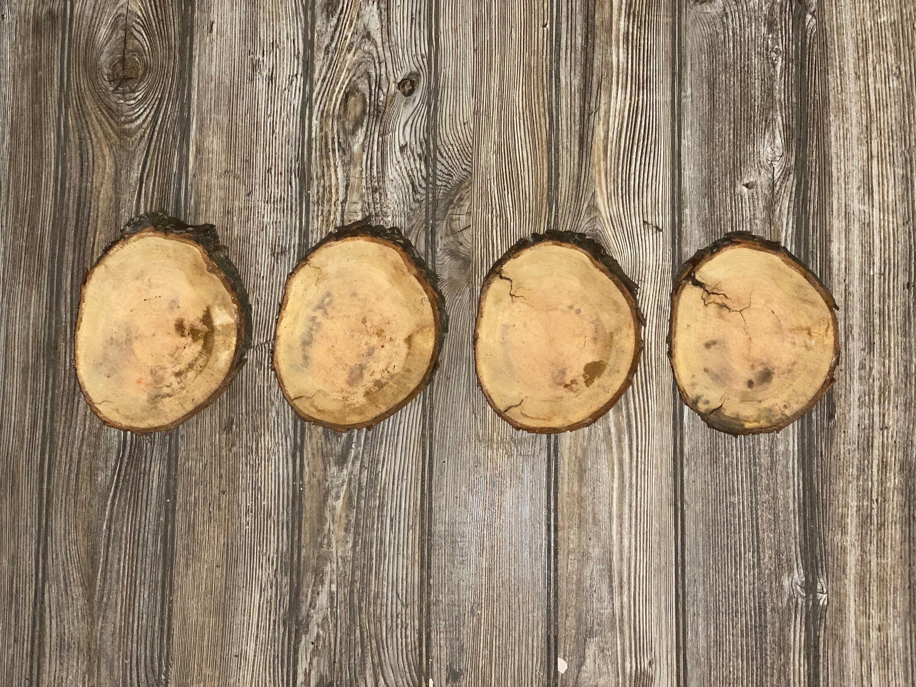 Four Cherry Burl Slices, Approximately 6.5 Inches Long by 5 Inches Wide and 3/4 Inch Thick