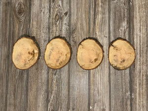 Four Cherry Burl Slices, Approximately 6.5 Inches Long by 5 Inches Wide and 3/4 Inch Thick