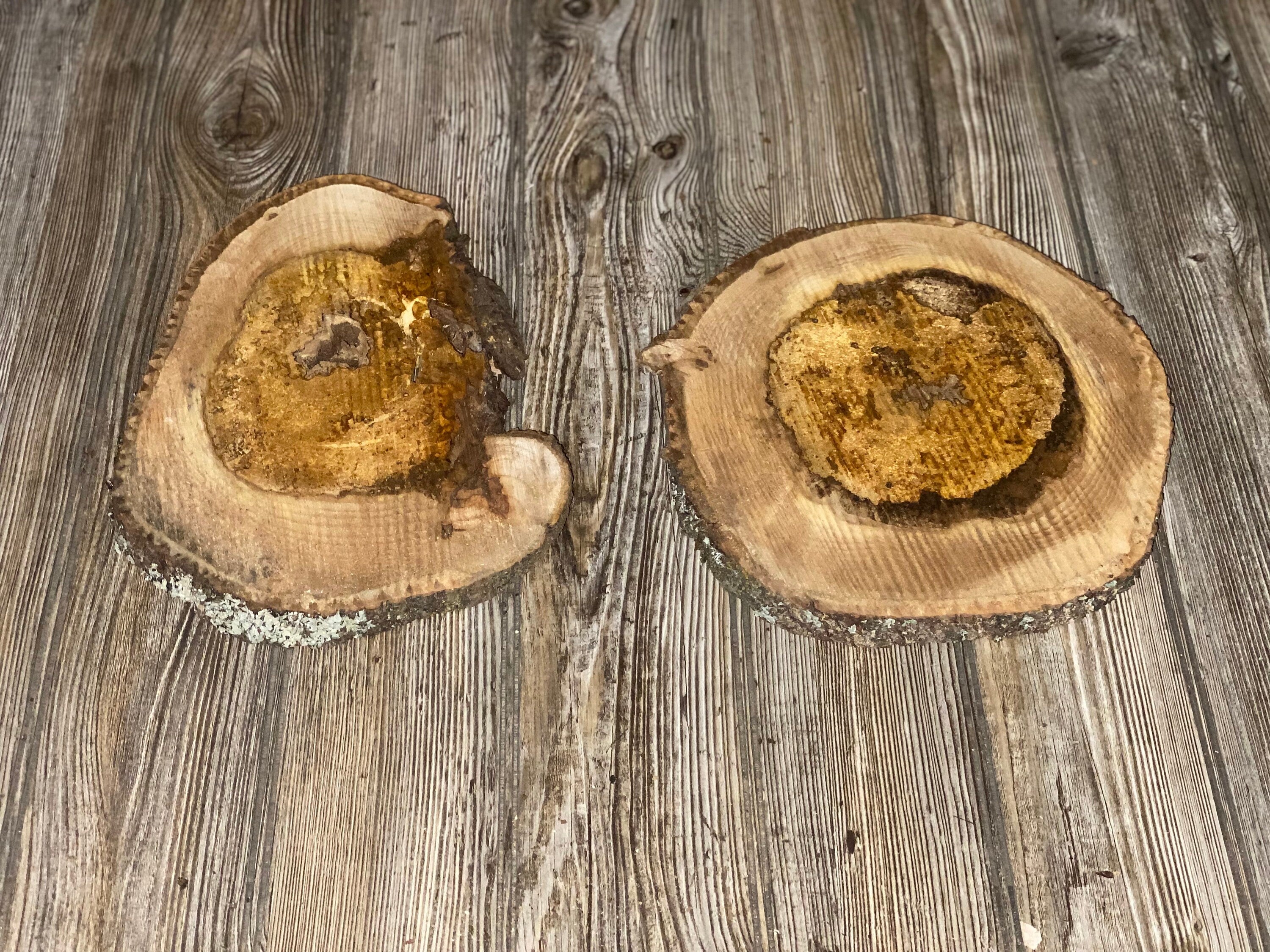 Two Hickory Burl Slices, Approximately 10.5-11 Inches Long by 8-10 Inches Wide and 3/4 Inch Thick