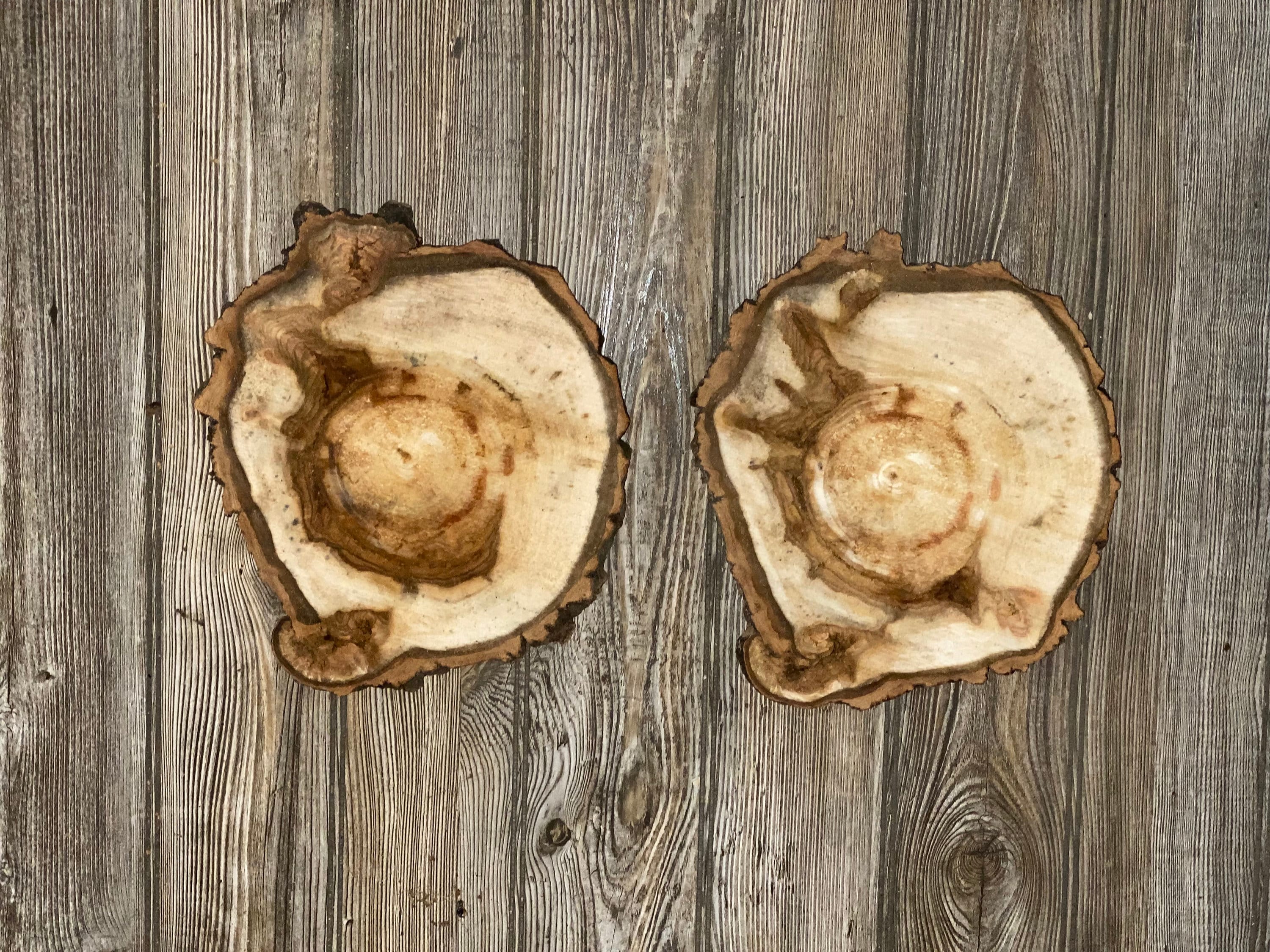 Two Aspen Burl Slices, Approximately 10 Inches Long by 9 Inches Wide and 3/4 Inches Thick