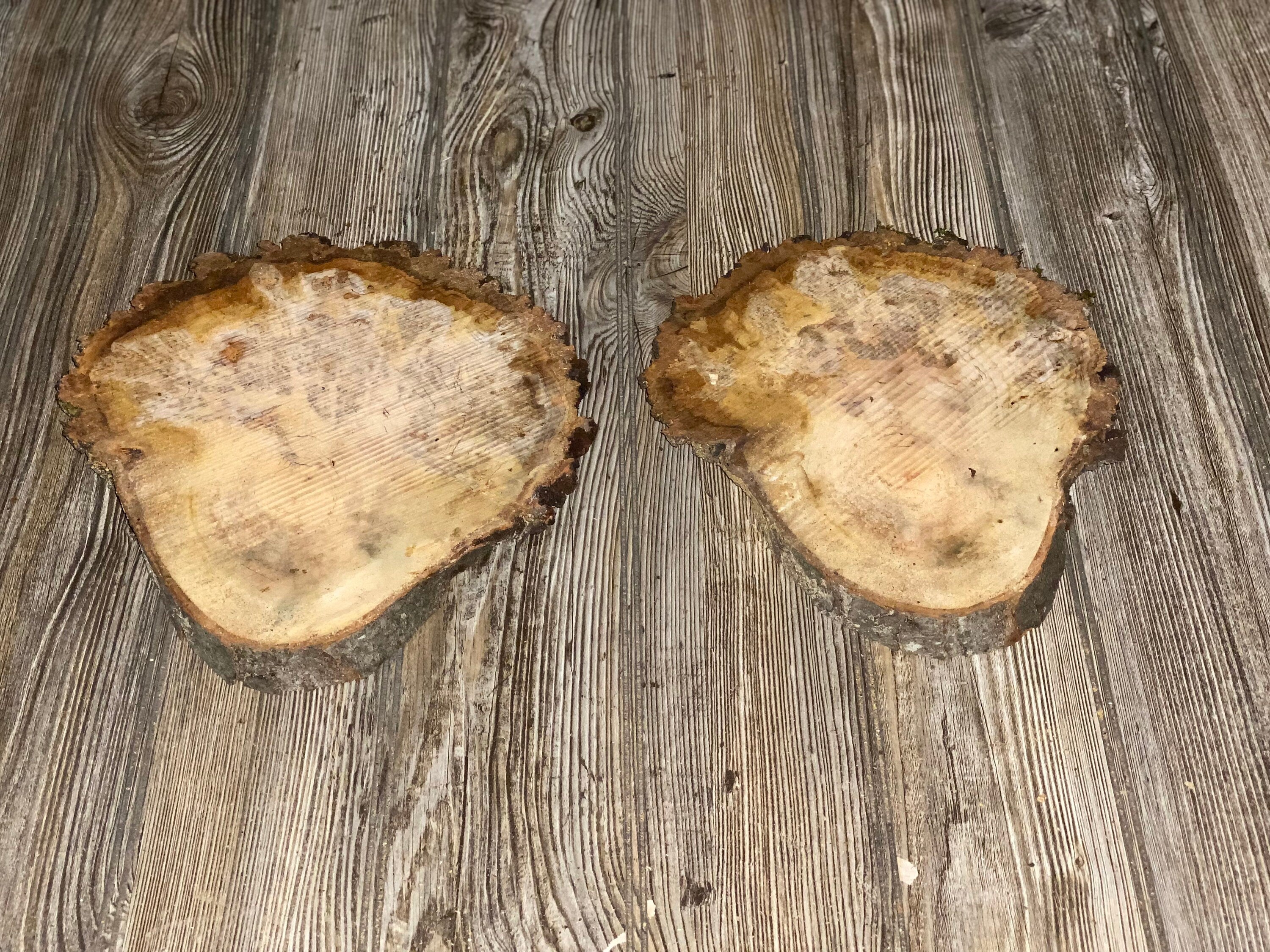 Two "Curly Head" Cherry Burl Slices, Approximately 10 Inches Long by 9 Inches Wide and 3/4 Inch Thick