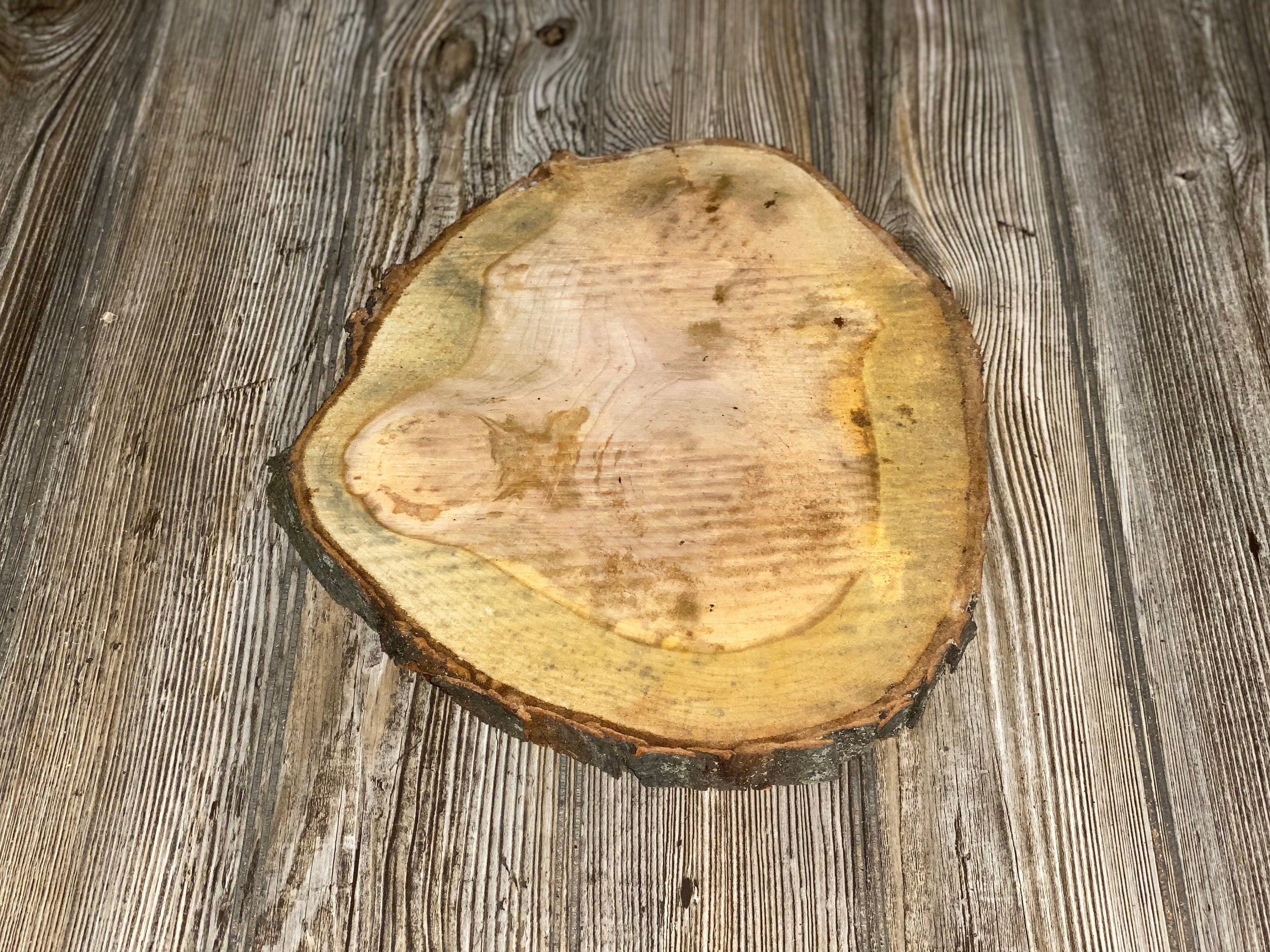 Single Cherry Burl Slice, Approximately 12 Inches Long by 10 Inches Wide and 3/4 Inch Thick