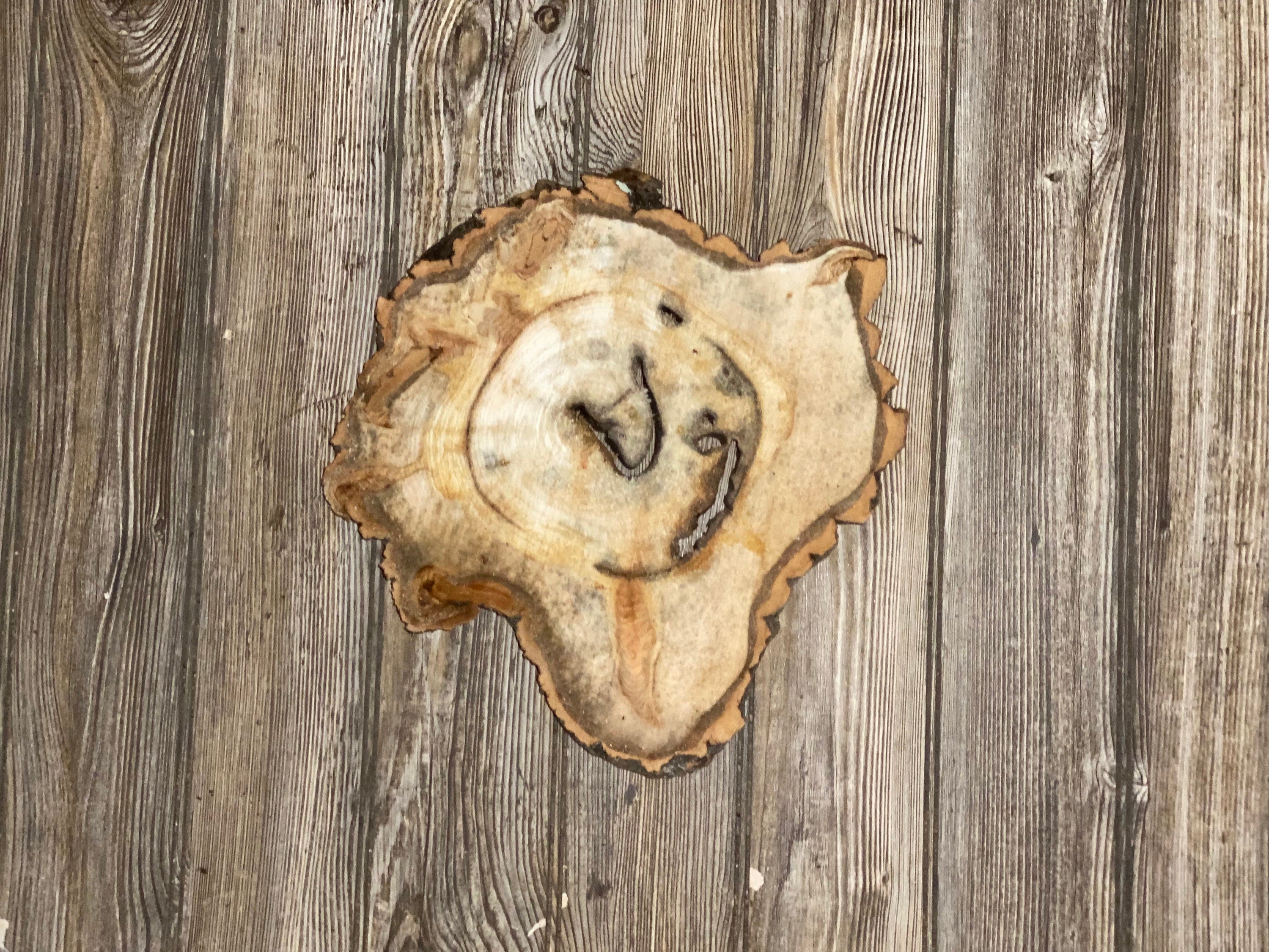 Aspen Burl Slice, Approximately 13 Inches Long by 12 Inches Wide and 1.5 Inches Thick