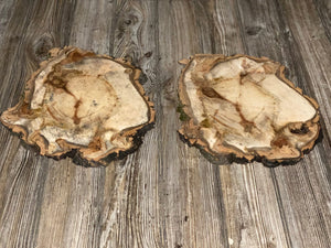 Two Aspen Burl Slices, Approximately 13 Inches Long by 11 Inches Wide and 3/4 Inches Thick