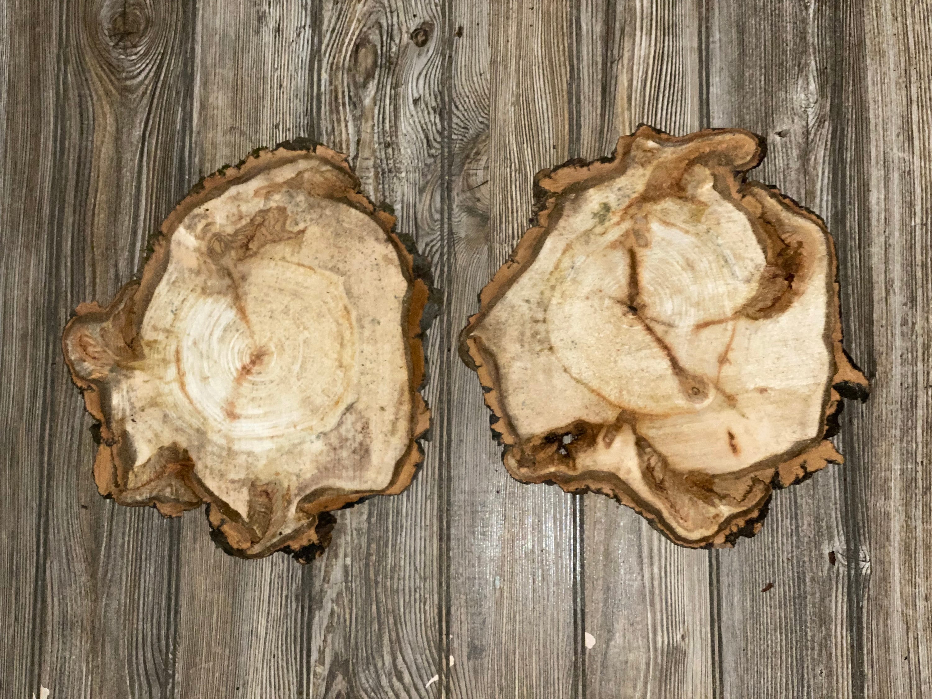 Two Aspen Burl Slices, Approximately 12.5 Inches Long by 11.5 Inches Wide and 3/4 Inches Thick