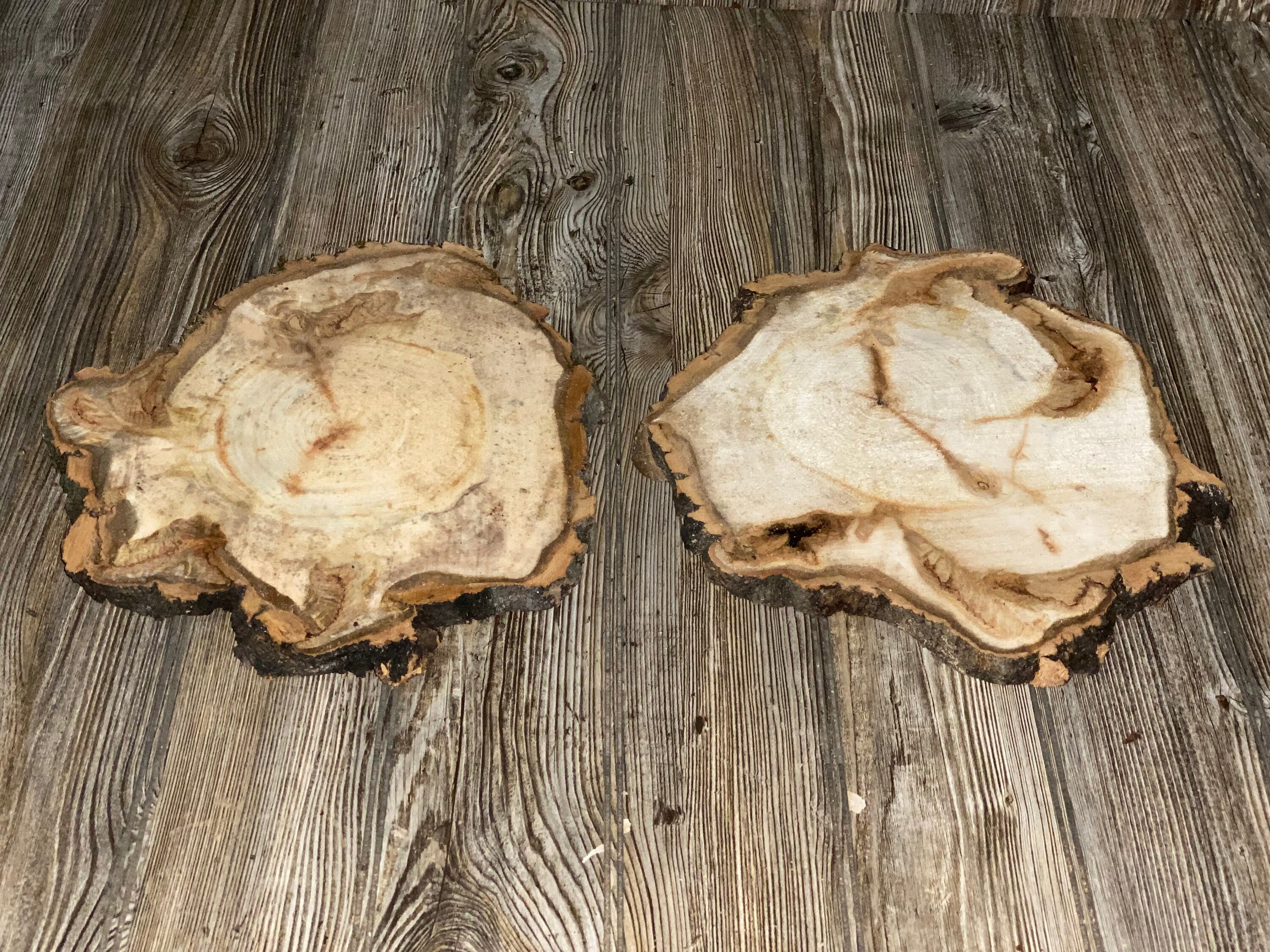 Two Aspen Burl Slices, Approximately 12.5 Inches Long by 11.5 Inches Wide and 3/4 Inches Thick