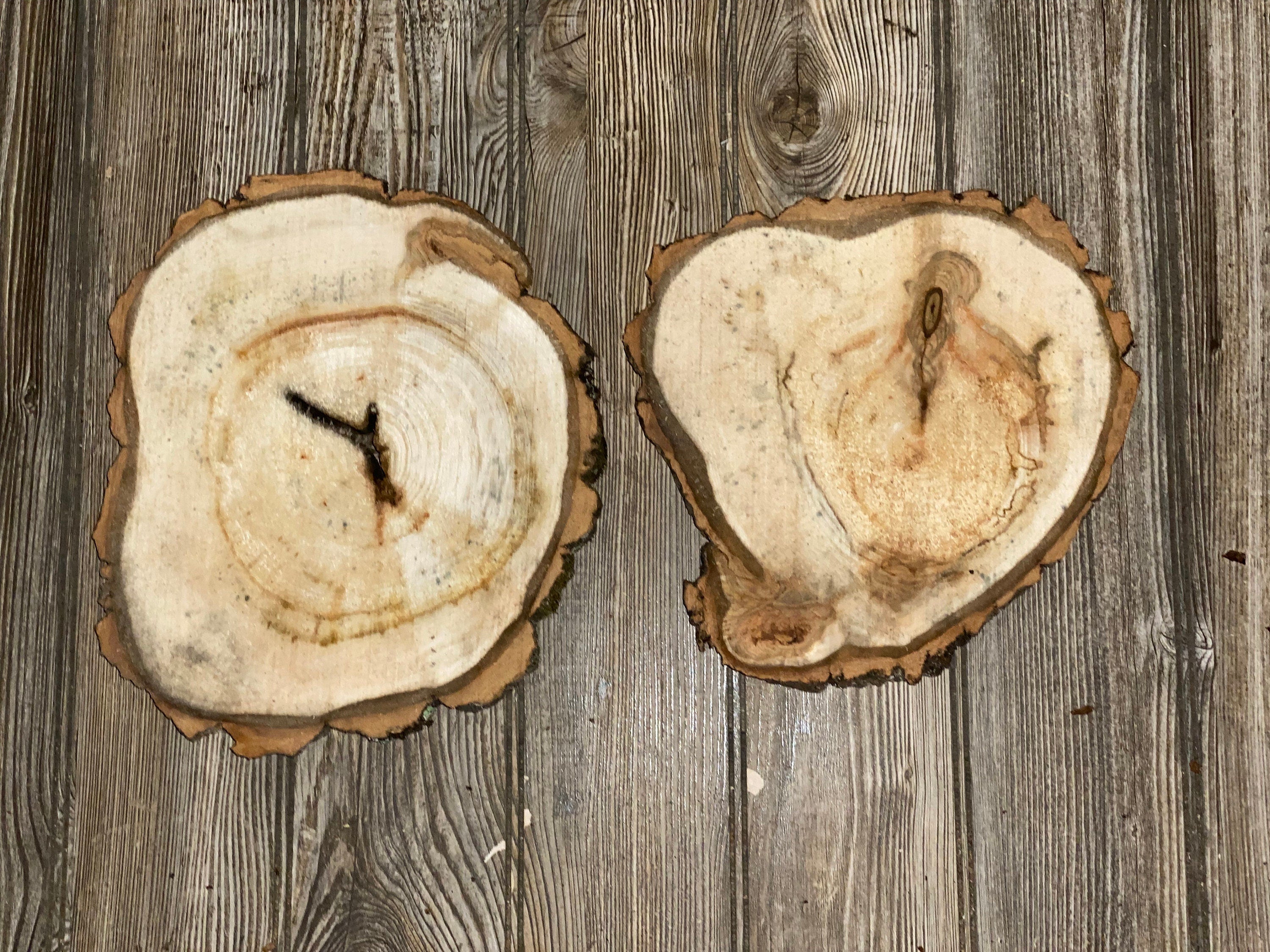 Two Aspen Burl Slices, Approximately 9.5-10.5 Inches Long by 9 Inches Wide and 3/4 Inches Thick