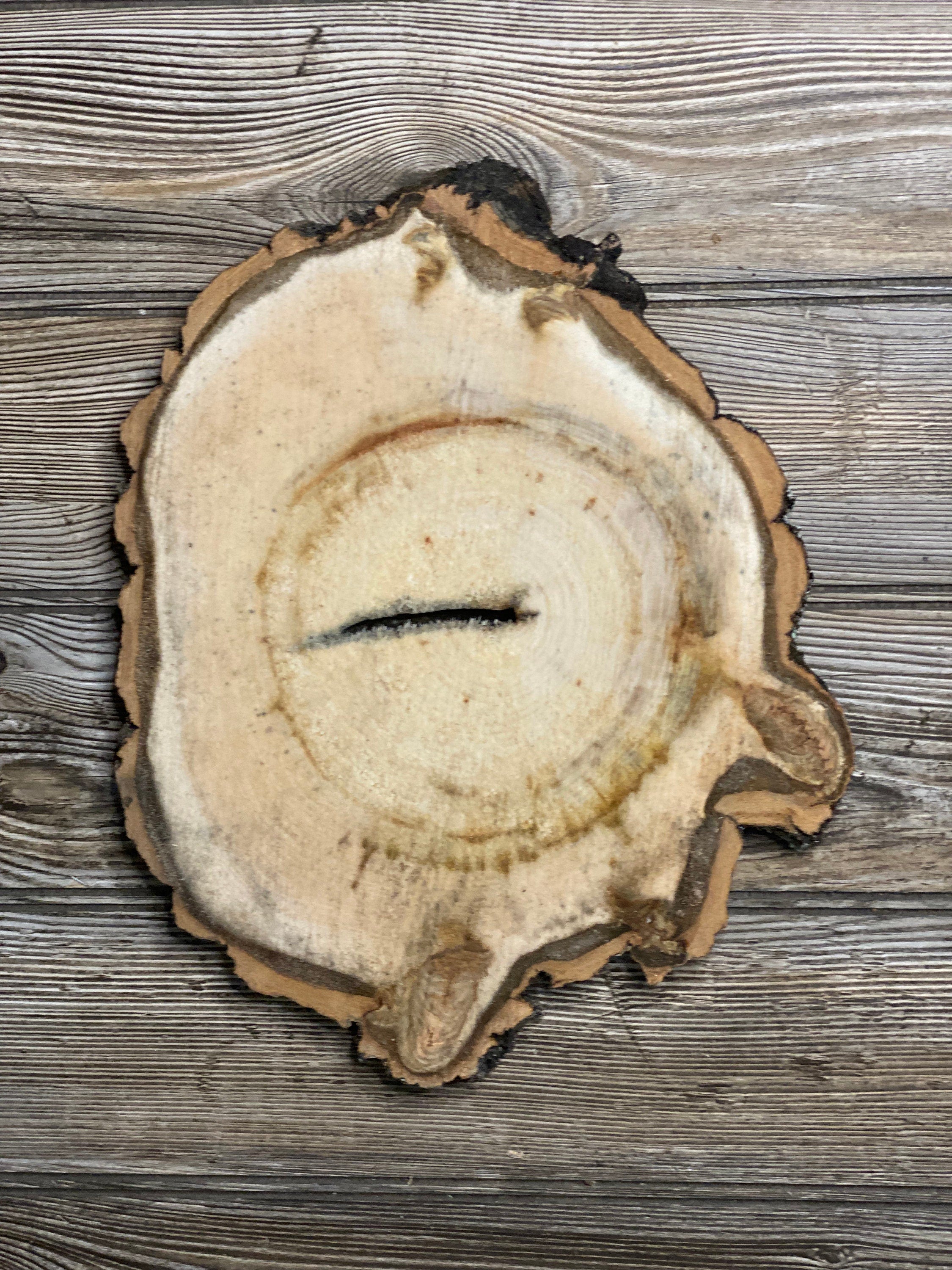 Aspen Burl Slice, Approximately 12 Inches Long by 9.5 Inches Wide and 3/4 Inch Thick