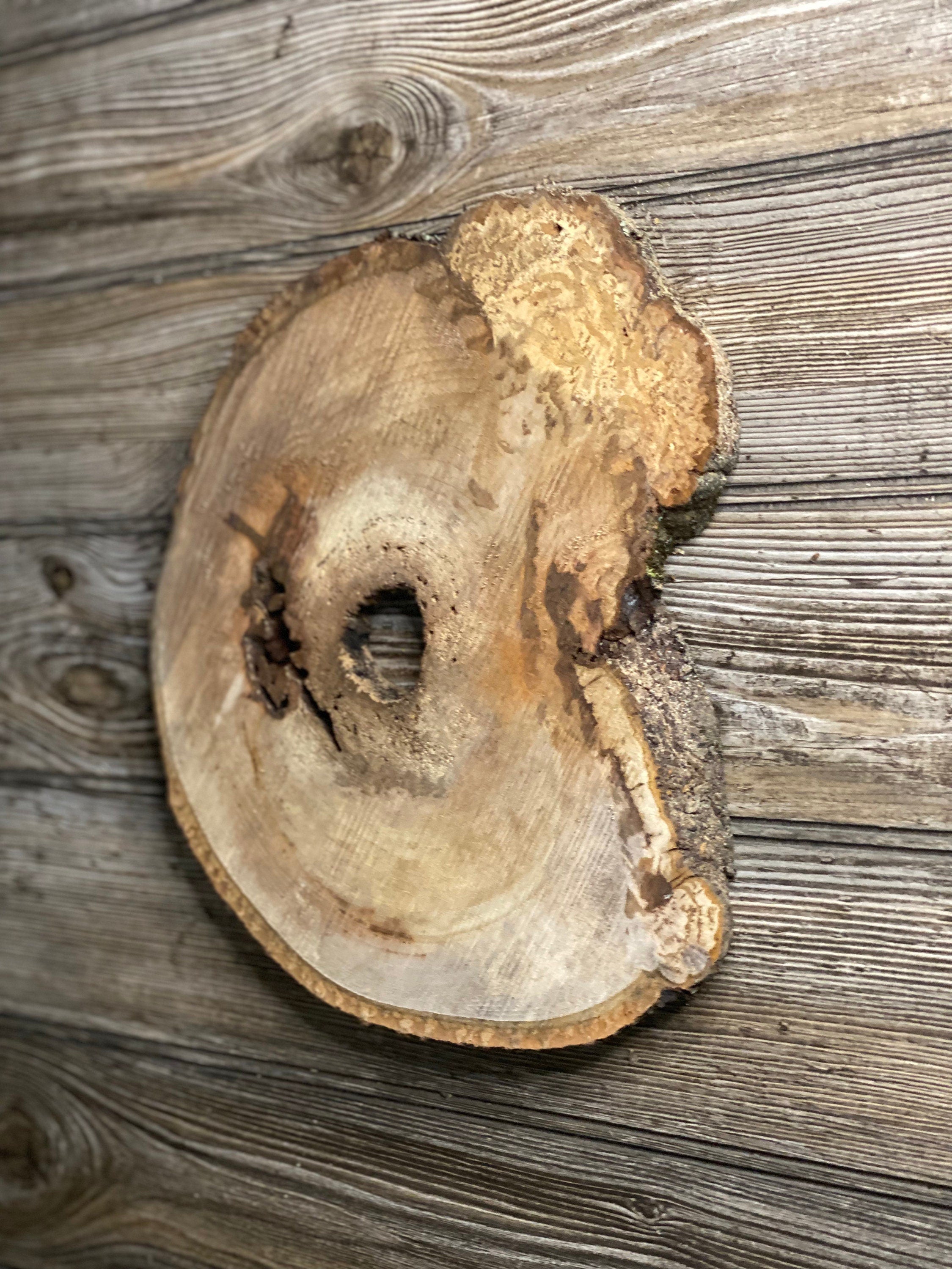 Hickory Burl Slice, Approximately 11 Inches Long by 9.5 Inches Wide and 3/4 Inch Thick