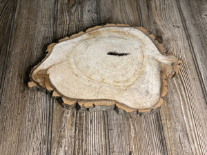 Aspen Burl Slice, Approximately 12.5 Inches Long by 9 Inches Wide and 3/4 Inch Thick