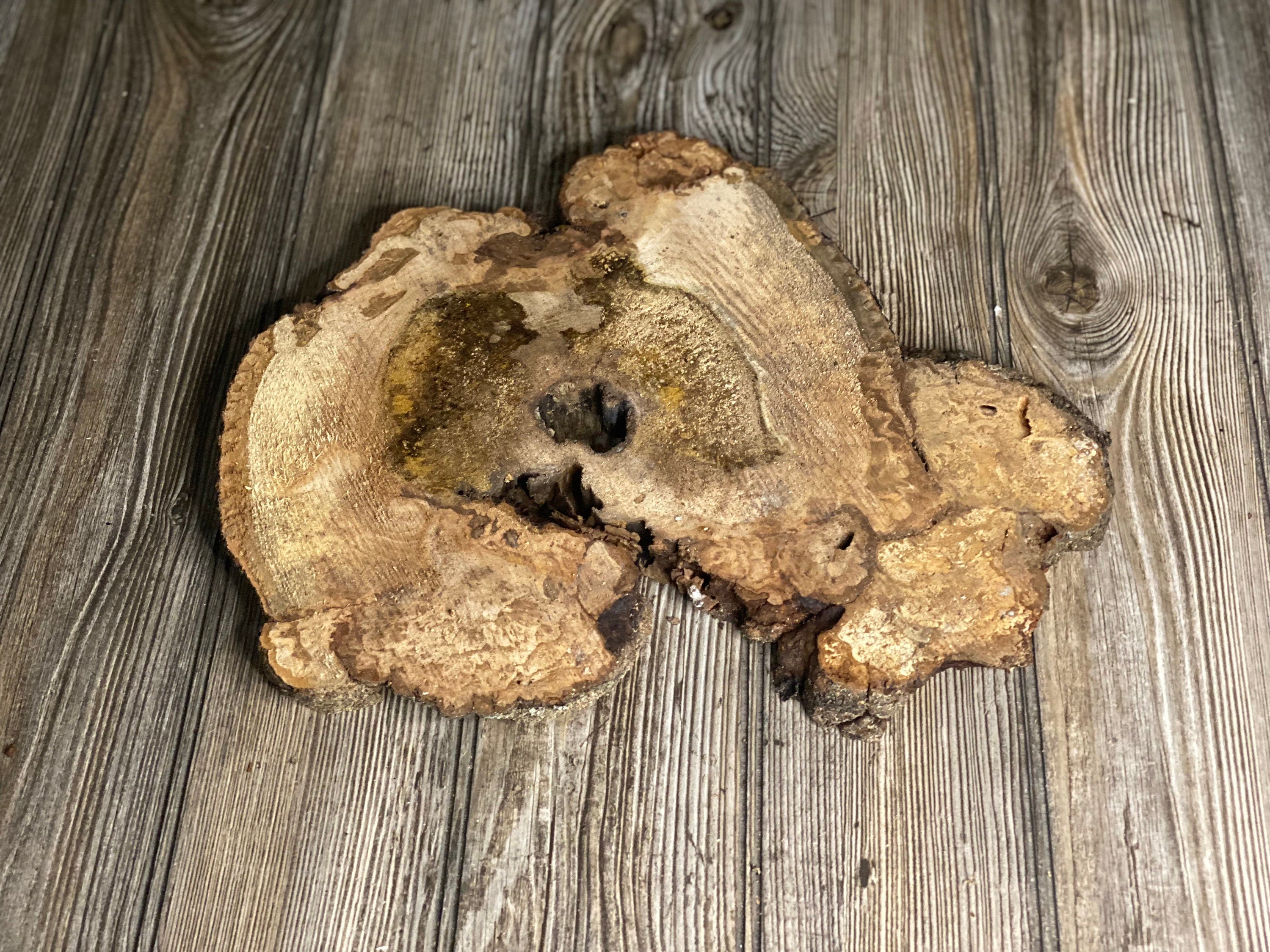 Hickory Burl Slice, Approximately 13.5 Inches Long by 11.5 Inches Wide and 3/4 Inch Thick