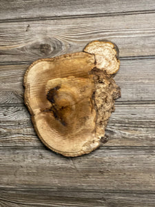 Hickory Burl Slice, Approximately 11 Inches Long by 8.5 Inches Wide and 3/4 Inch Thick