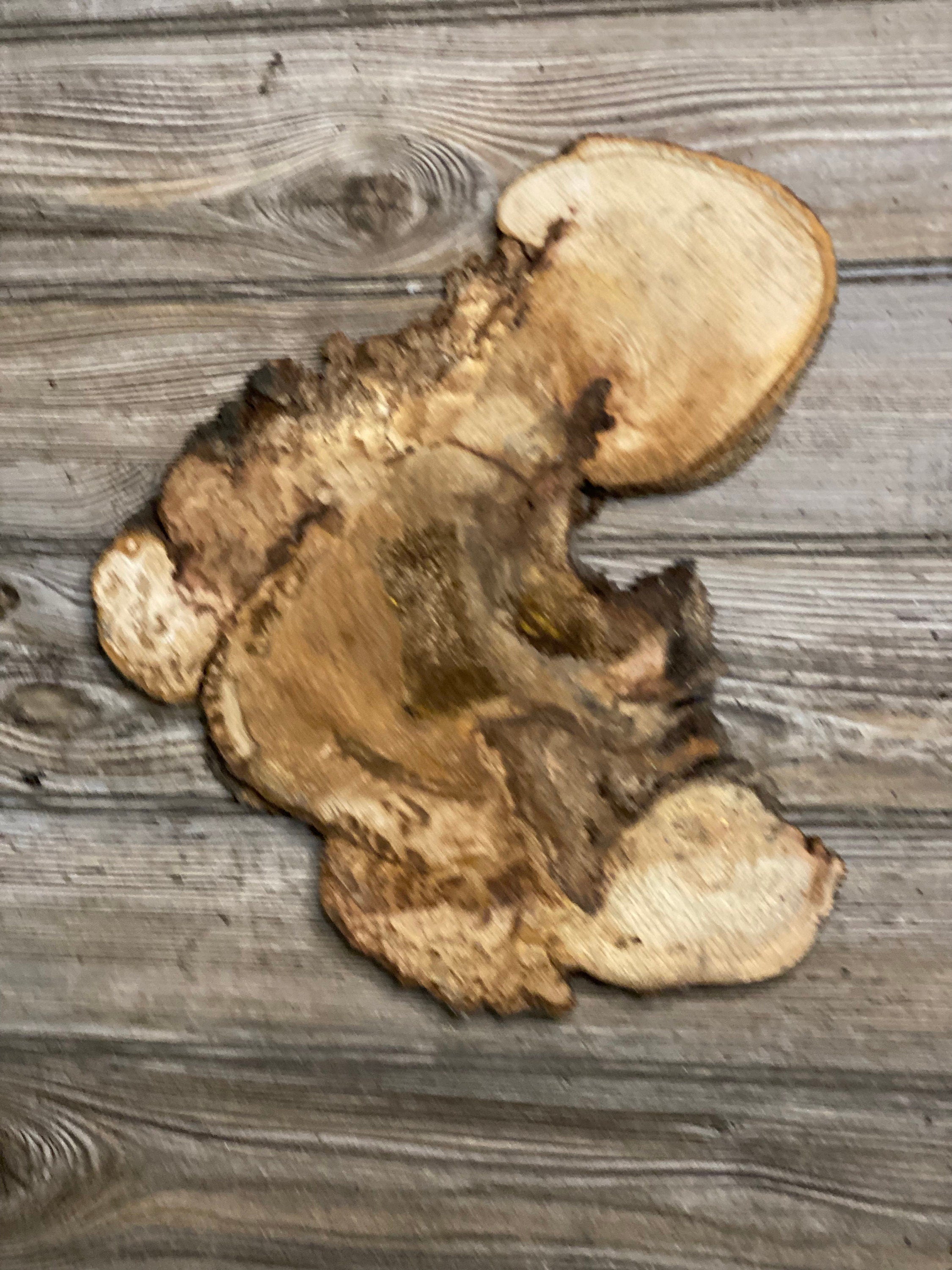 Unique Hickory Burl Slice, Approximately 13 Inches Long by 12 Inches Wide and 3/4 Inch Thick