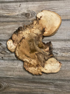 Unique Hickory Burl Slice, Approximately 13 Inches Long by 12 Inches Wide and 3/4 Inch Thick