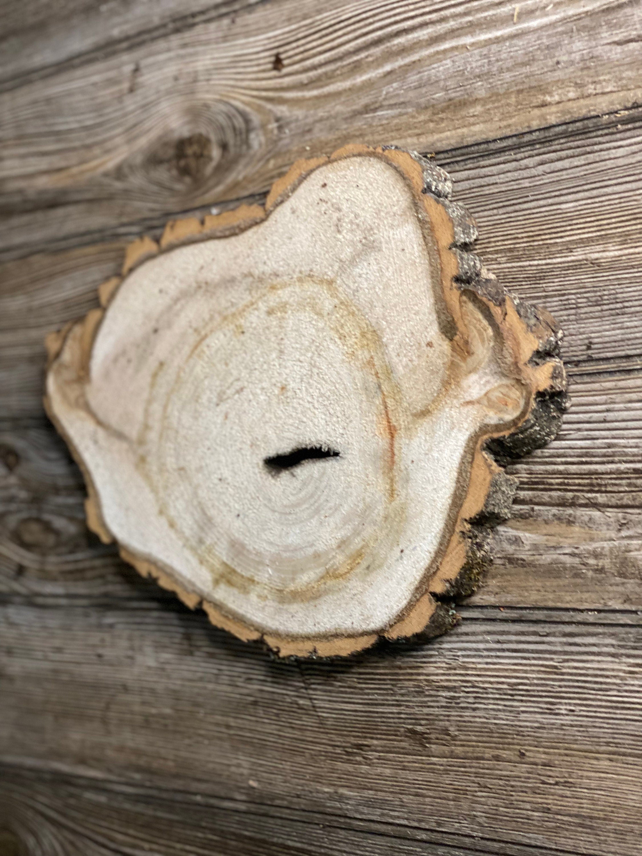 Aspen Burl Slice, Approximately 12.5 Inches Long by 9.5 Inches Wide and 3/4 Inch Thick