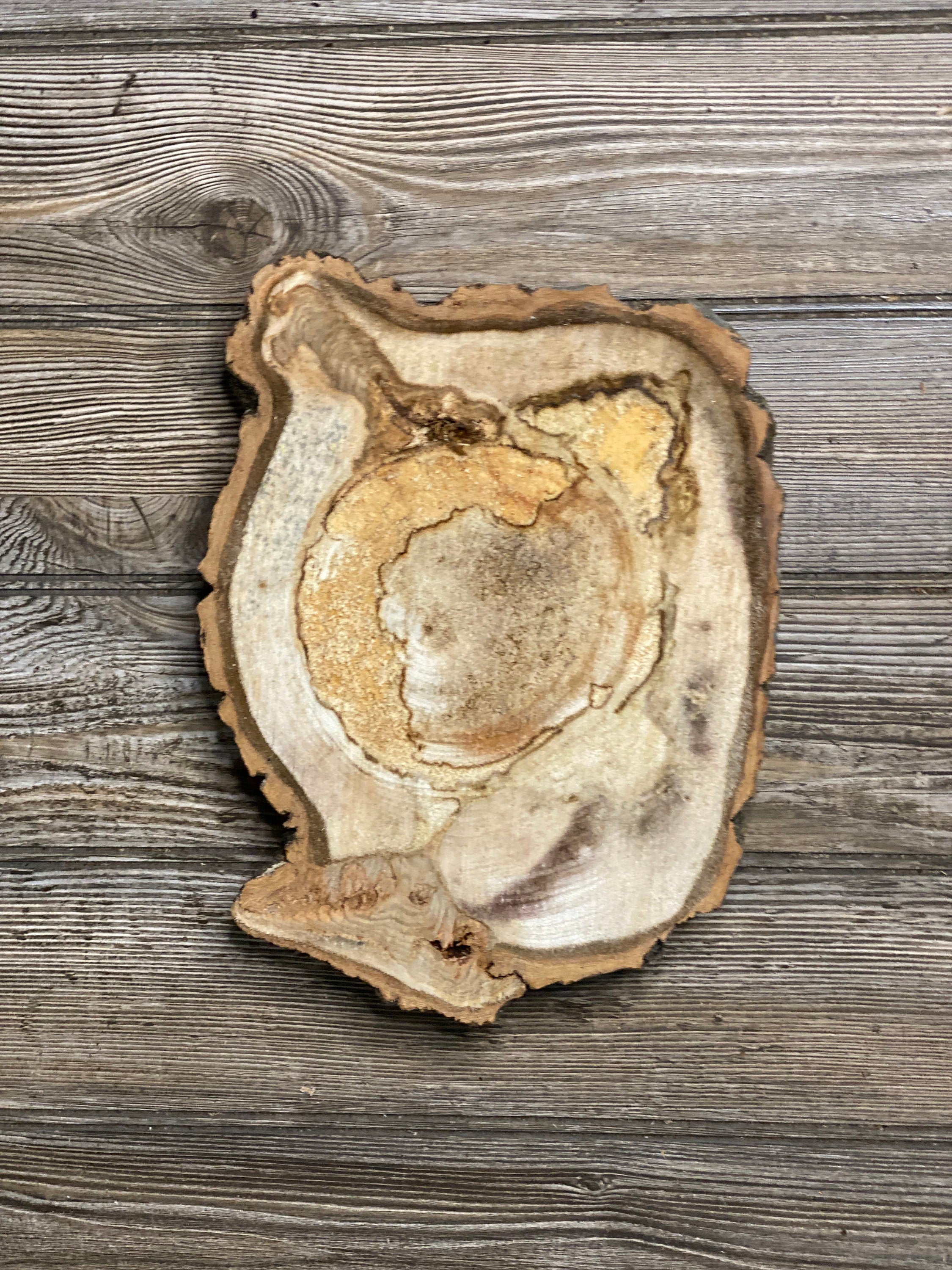 Aspen Burl Slice, Approximately 10.5 Inches Long by 8 Inches Wide and 1.5 Inch Thick