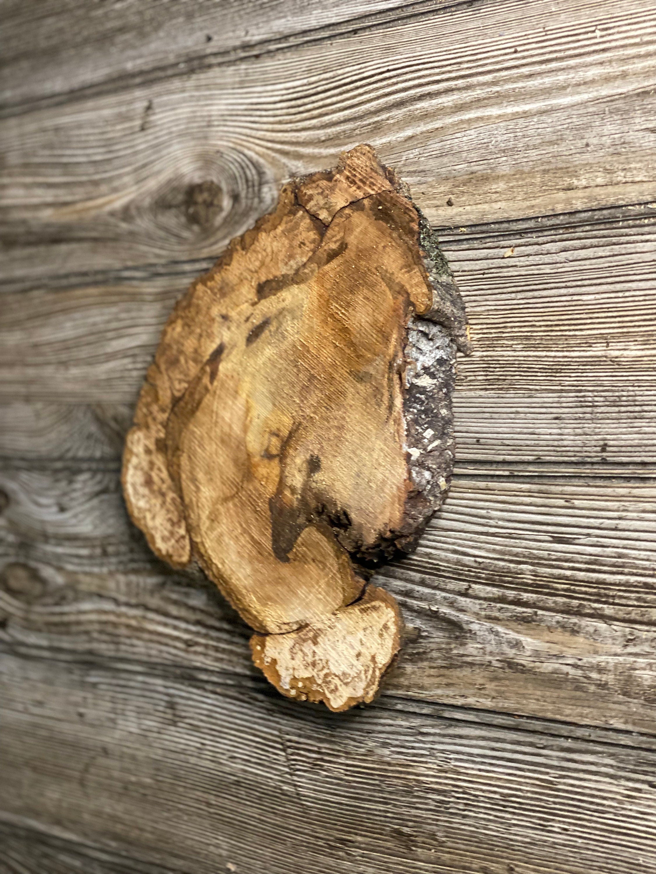 Hickory Burl Slice, Approximately 9.5 Inches Long by 8 Inches Wide and 3/4 Inch Thick