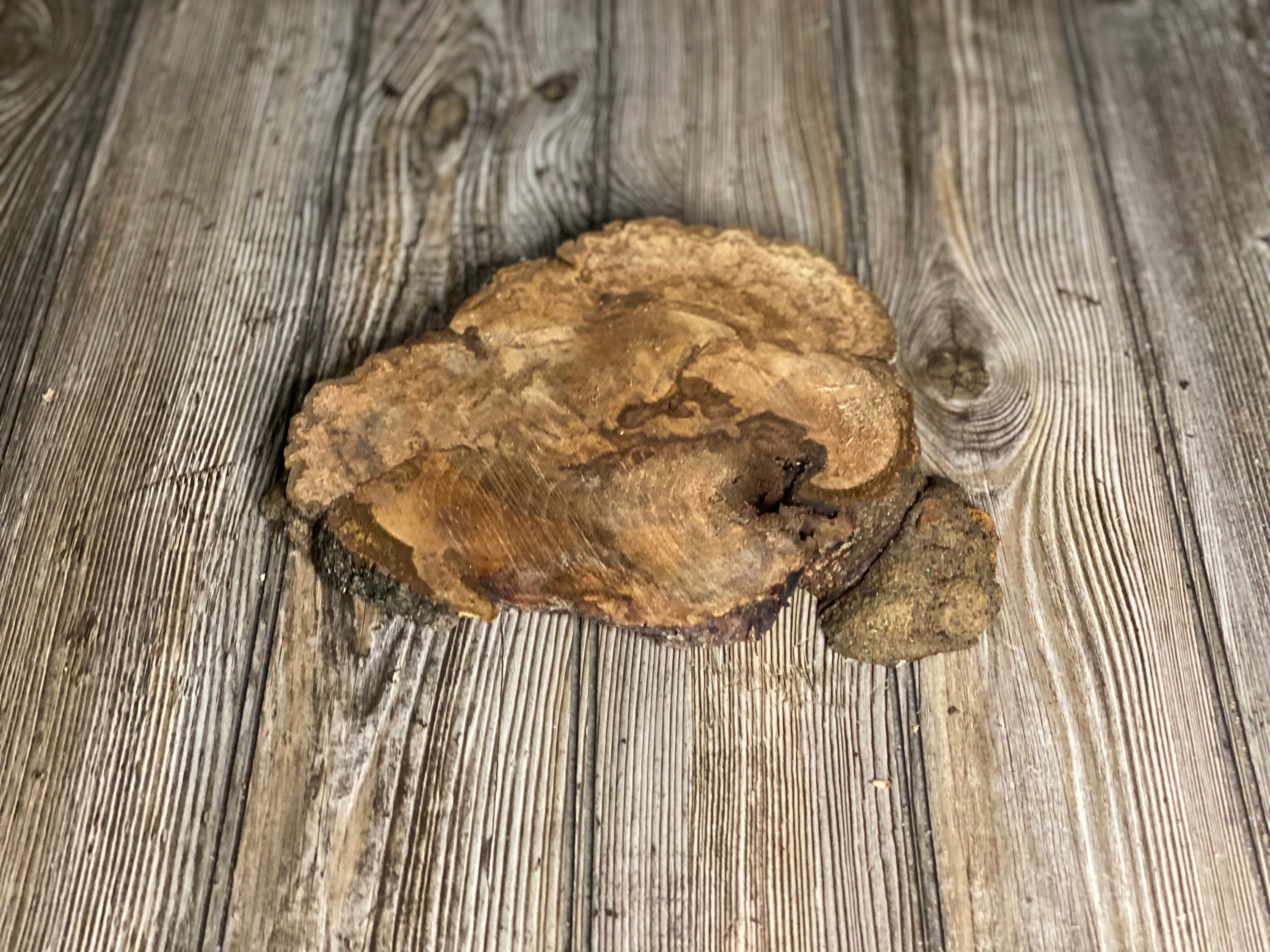 Hickory Burl Slice, Approximately 9.5 Inches Long by 8 Inches Wide and 3/4 Inch Thick