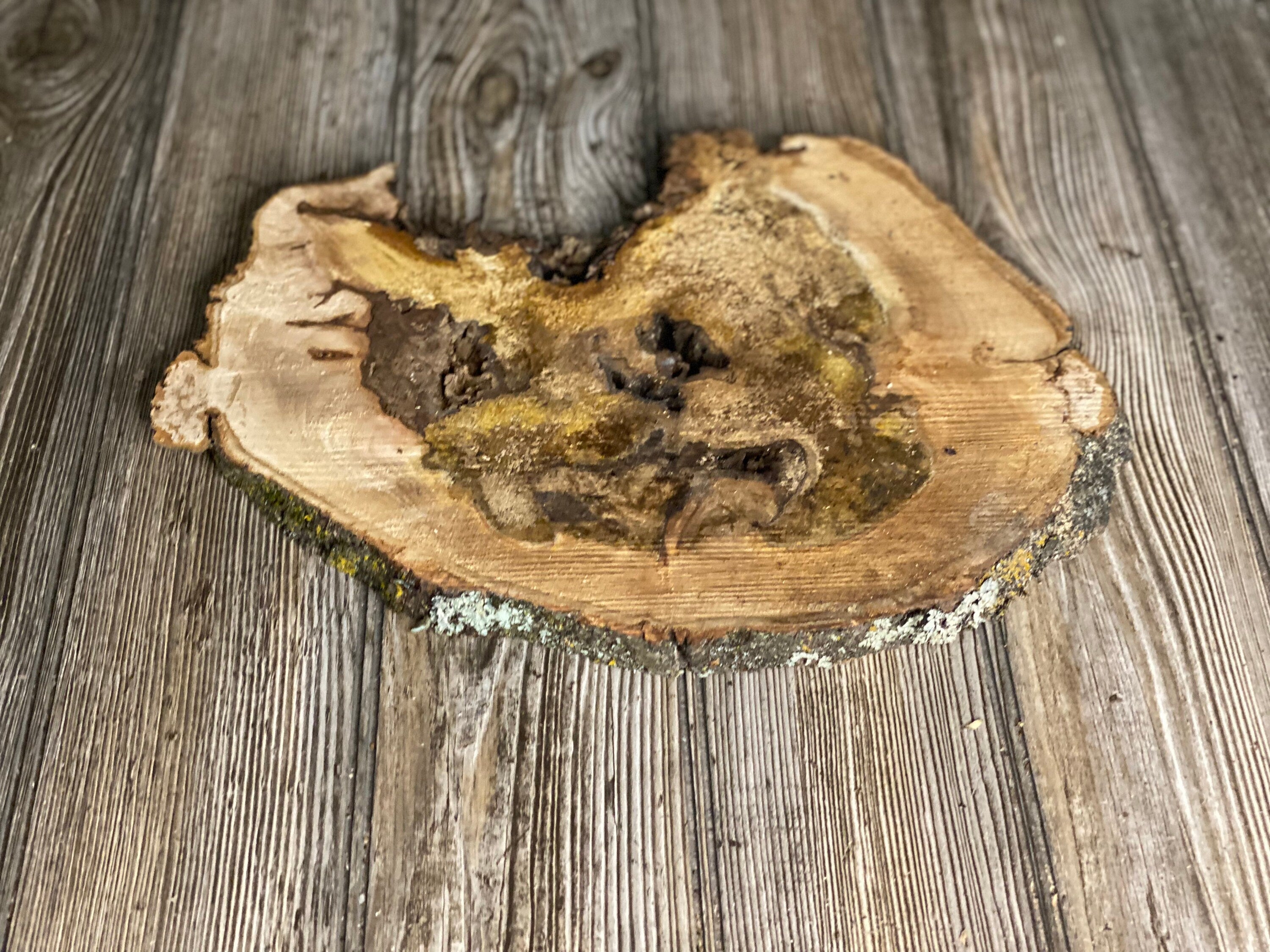 Hickory Burl Slice, Approximately 13 Inches Long by 10 Inches Wide and 3/4 Inch Thick