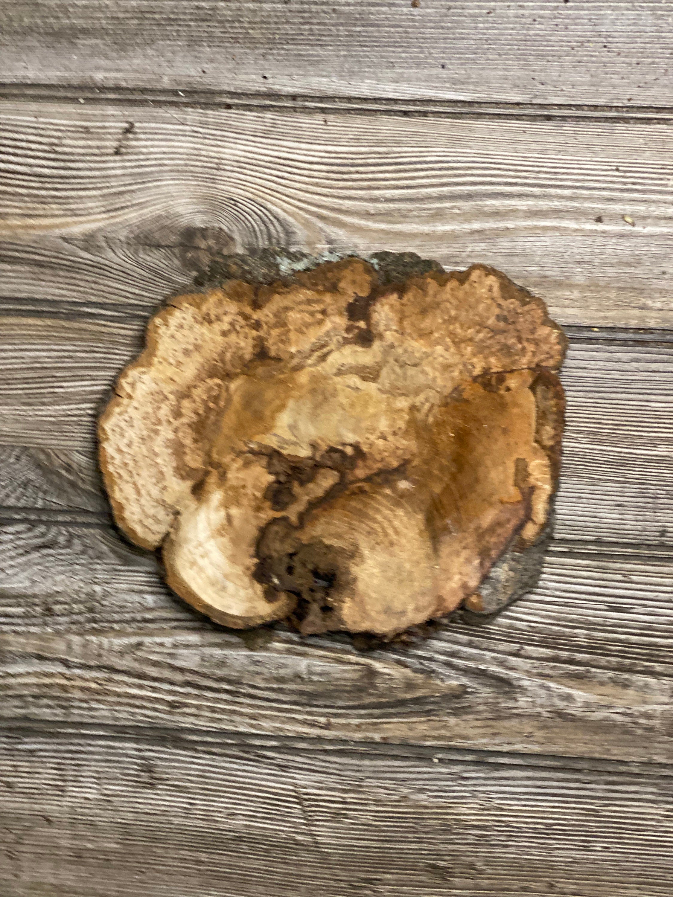 Hickory Burl Slice, Approximately 8.5 Inches Long by 7.5 Inches Wide and 3/4 Inch Thick