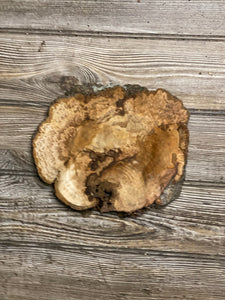 Hickory Burl Slice, Approximately 8.5 Inches Long by 7.5 Inches Wide and 3/4 Inch Thick