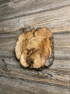 Hickory Burl Slice, Approximately 8.5 Inches Long by 7.5 Inches Wide and 3/4 Inch Thick