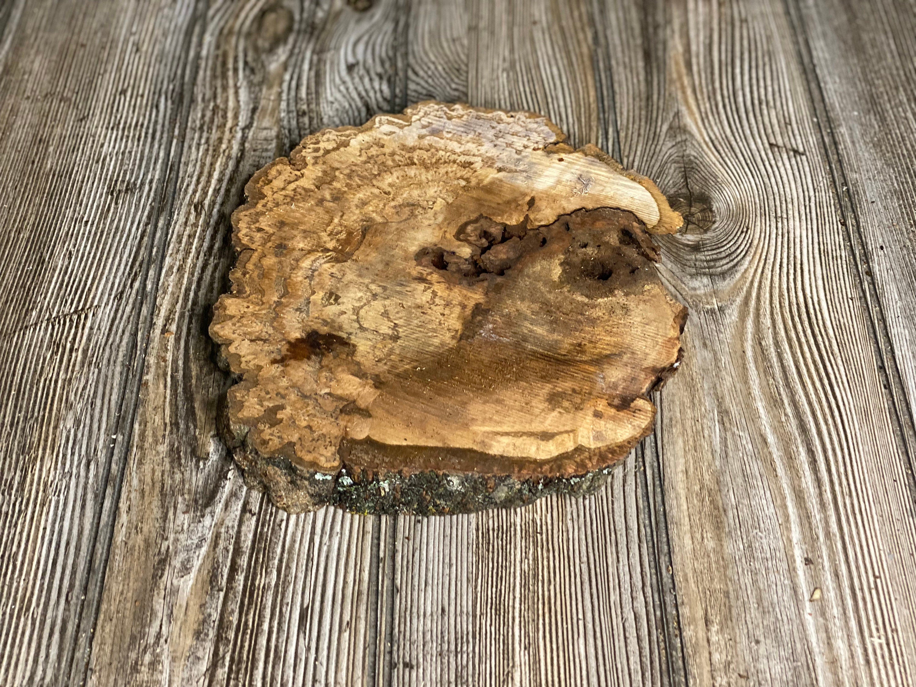 Hickory Burl Slice, Approximately 8.5 Inches Long by 7.5 Inches Wide and 3/4 Inch Thick