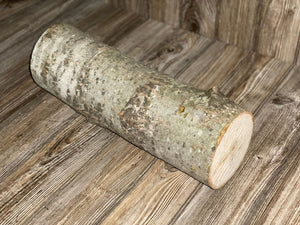 Aspen Log, Popple, About 16 Inches Long by 5 Inches in Diameter