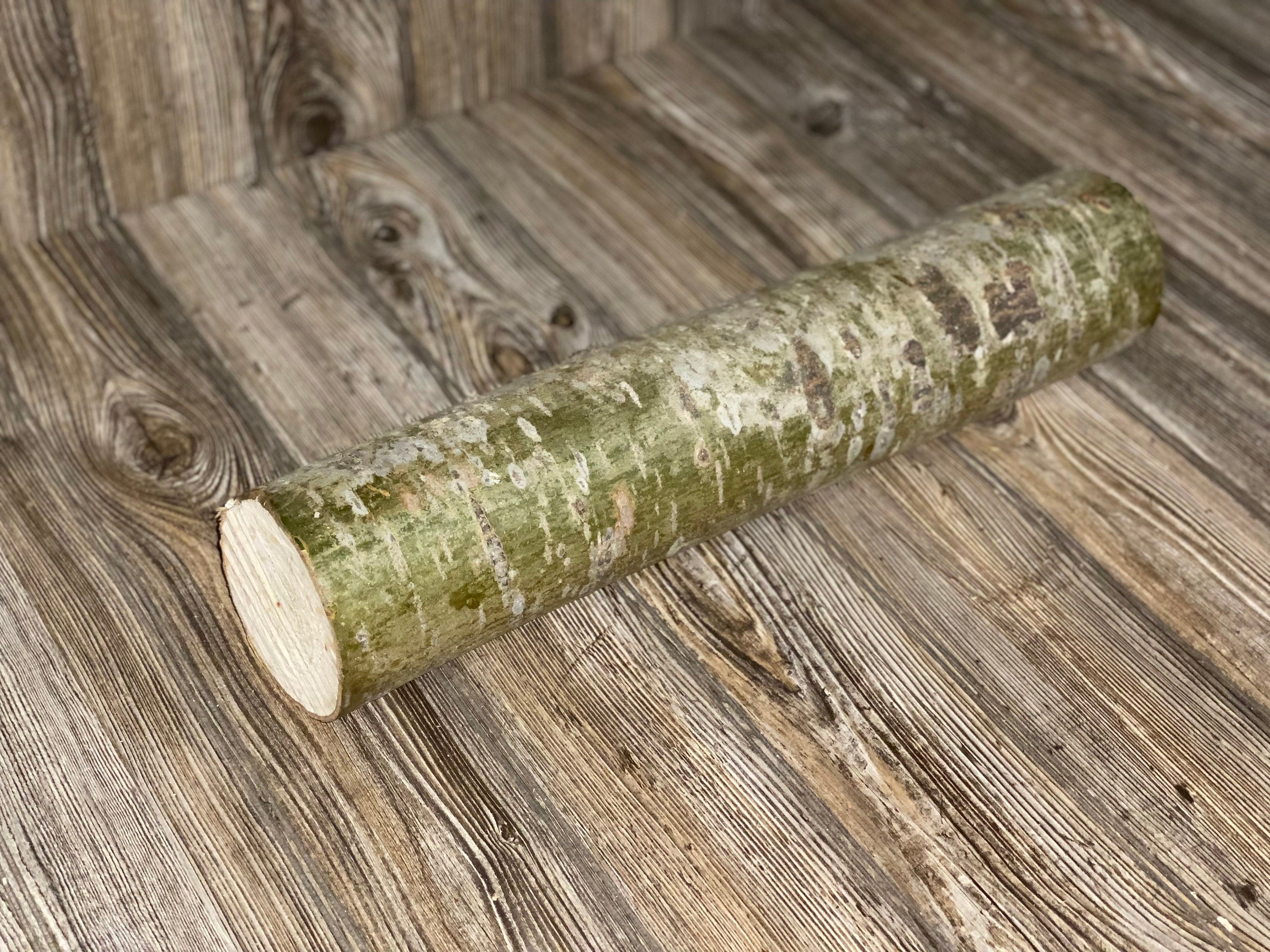 Aspen Log, Popple, About 19 Inches Long by 4 Inches in Diameter