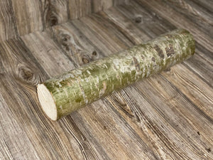 Aspen Log, Popple, About 19 Inches Long by 4 Inches in Diameter