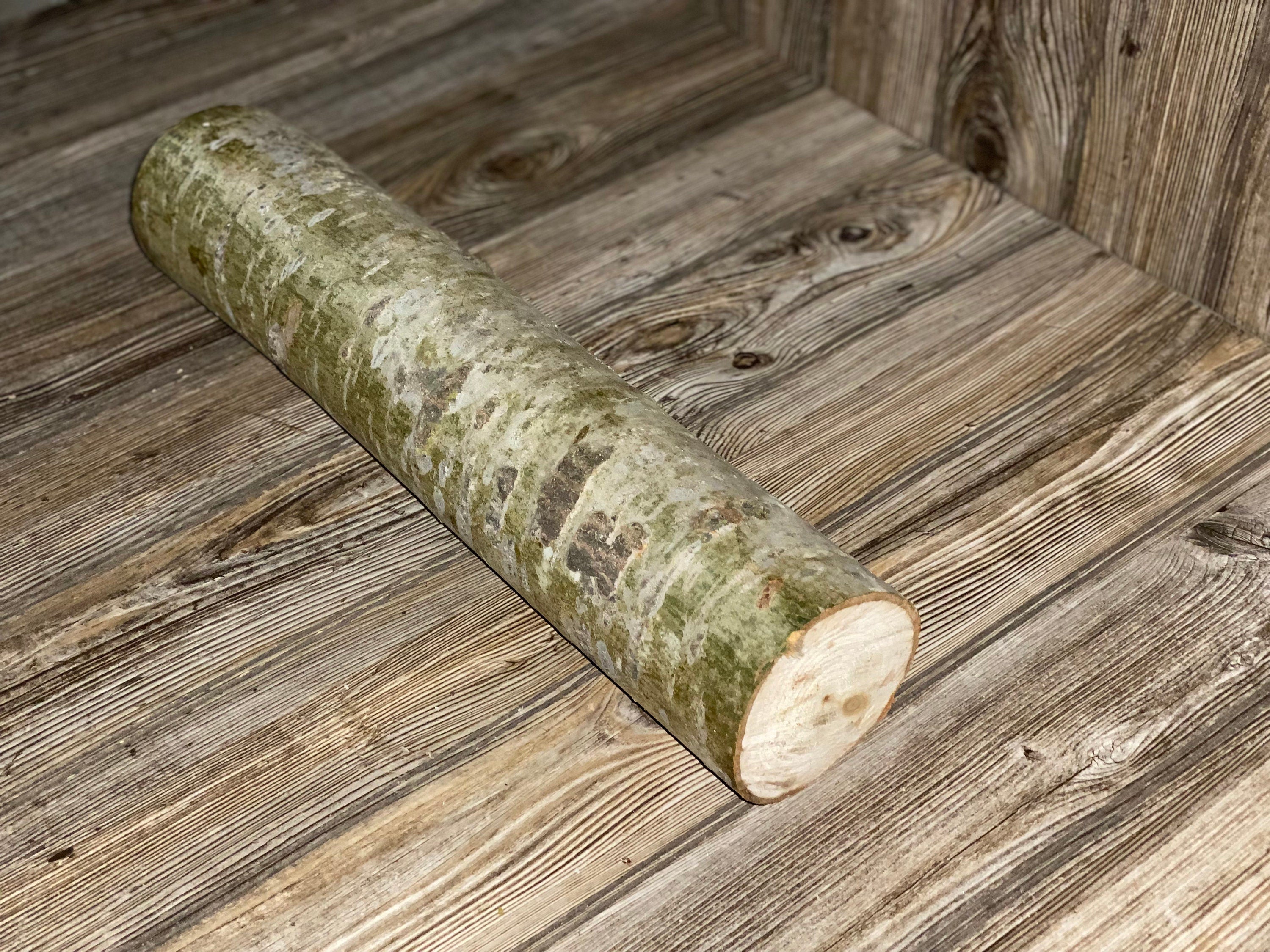 Aspen Log, Popple, About 19 Inches Long by 4 Inches in Diameter