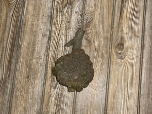 Hickory Burl, Burl Ball on a Stick, Poodle Tail, Burl About 5 Inches Long by 5 Inches Wide