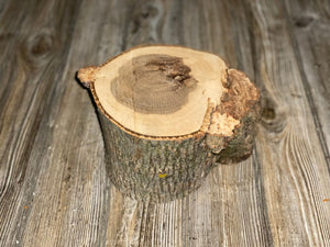 Hickory Burl Log, Approximately 8.5 Inches Long by 6.5 Inches Wide and 5 Inches Thick