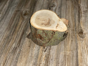 Hickory Burl Log, Approximately 8.5 Inches Long by 6.5 Inches Wide and 5 Inches Thick