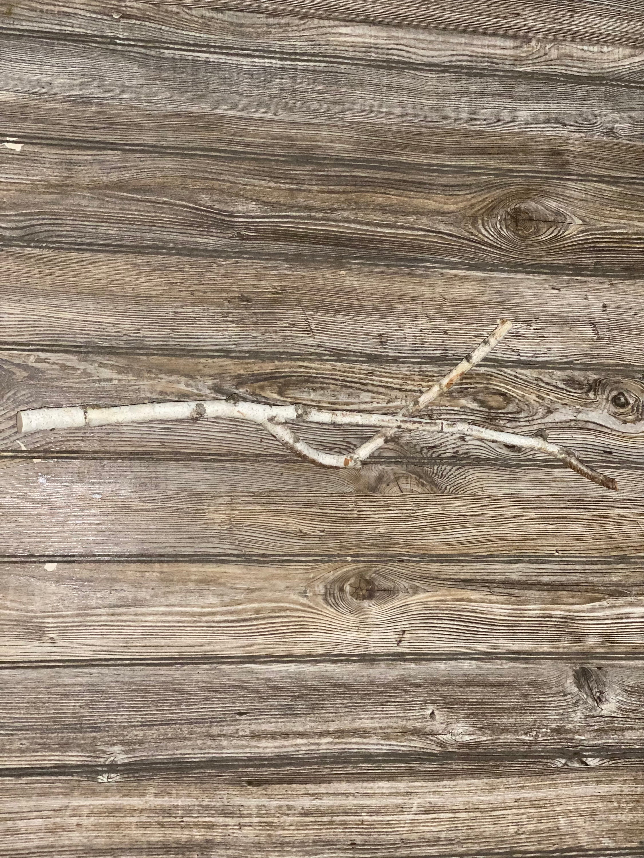 Twisted White Birch Branch, 1 Count, Approximately 23 Inches Long by 3/4 Inch Thick