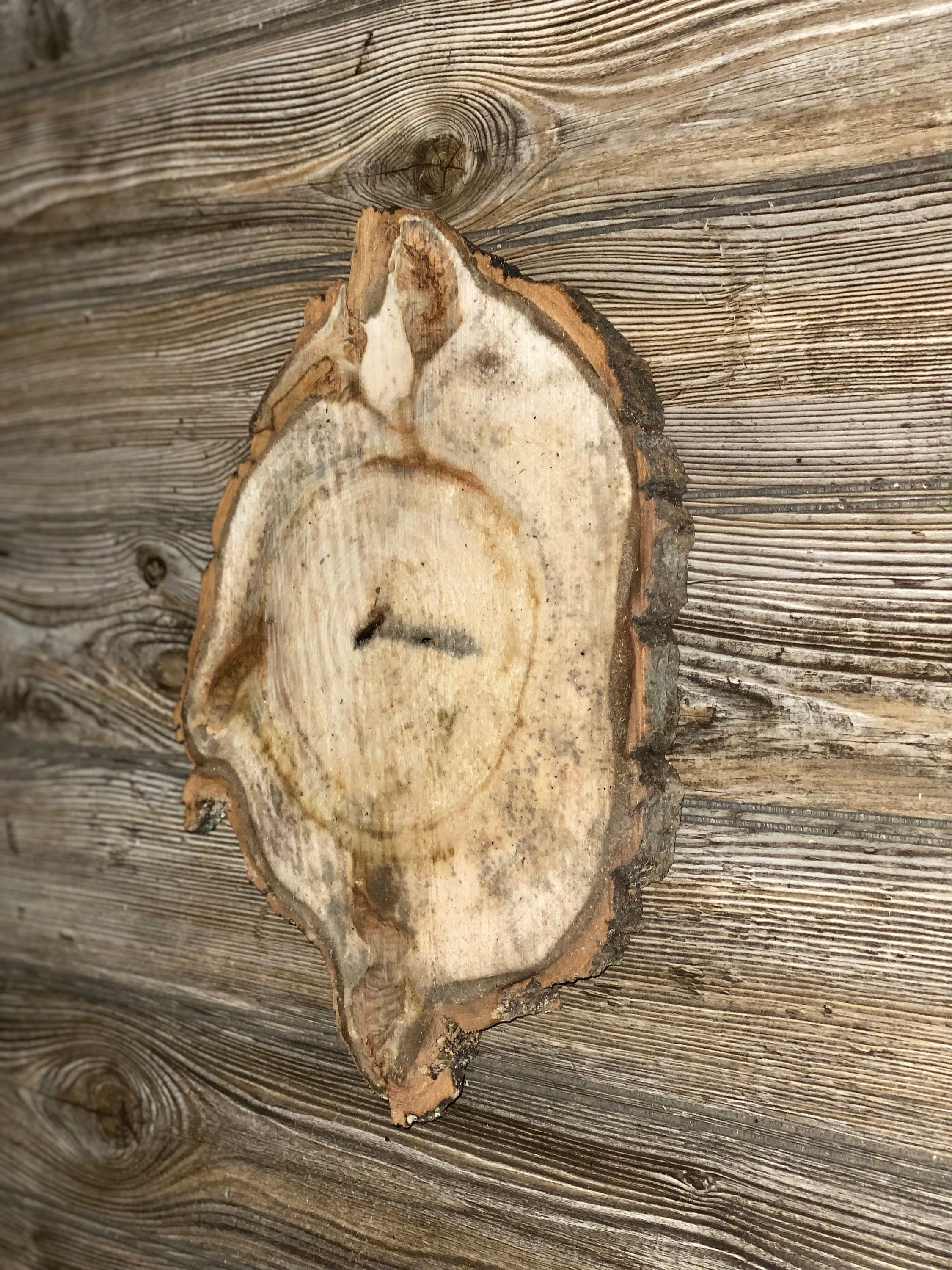 Aspen Burl Slice, Approximately 13 Inches Long by 9.5 Inches Wide and 3/4 Inches Thick