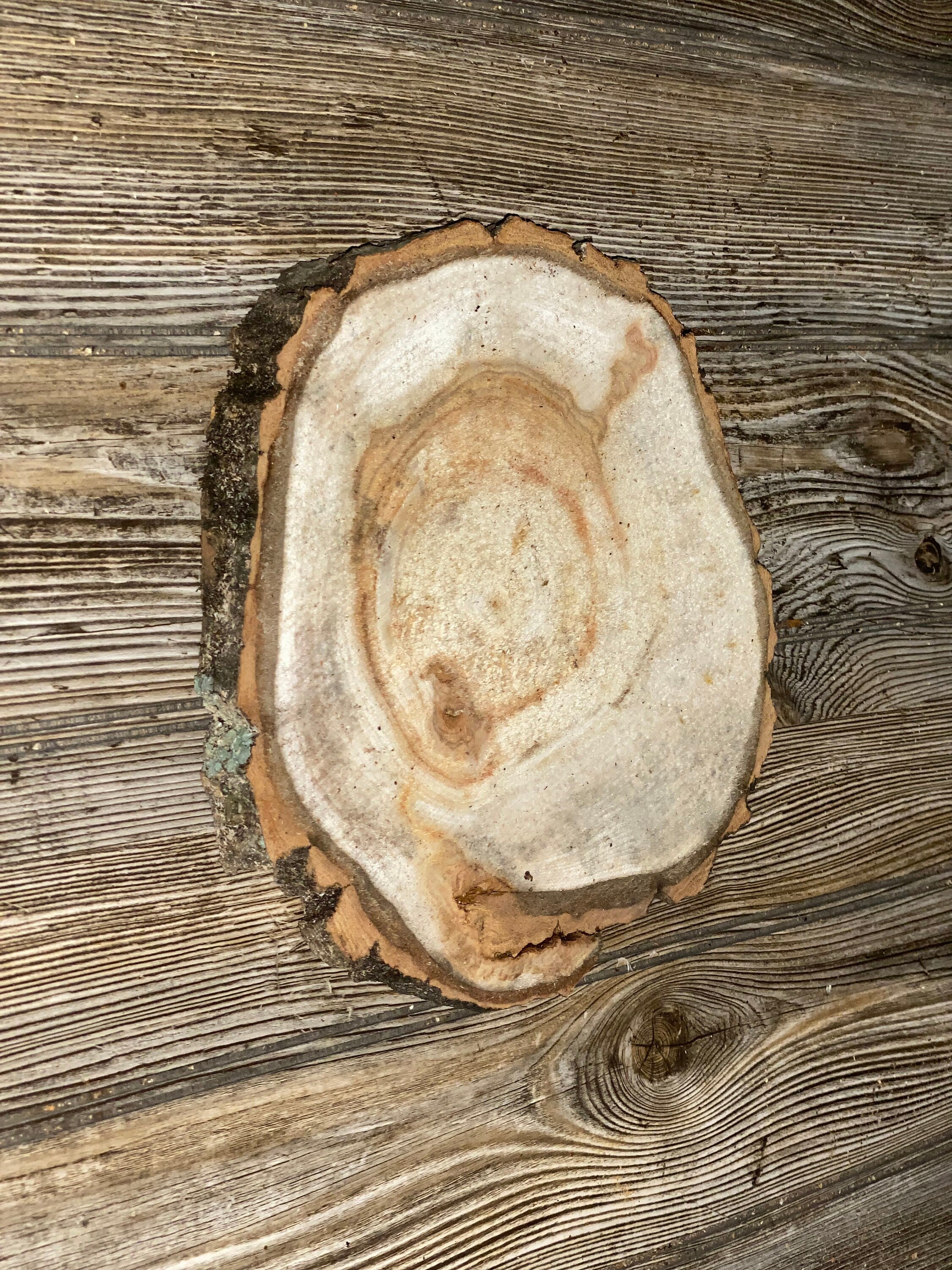 Aspen Burl Slice, Approximately 9.5 Inches Long by 8.5 Inches Wide and 3/4 Inches Thick