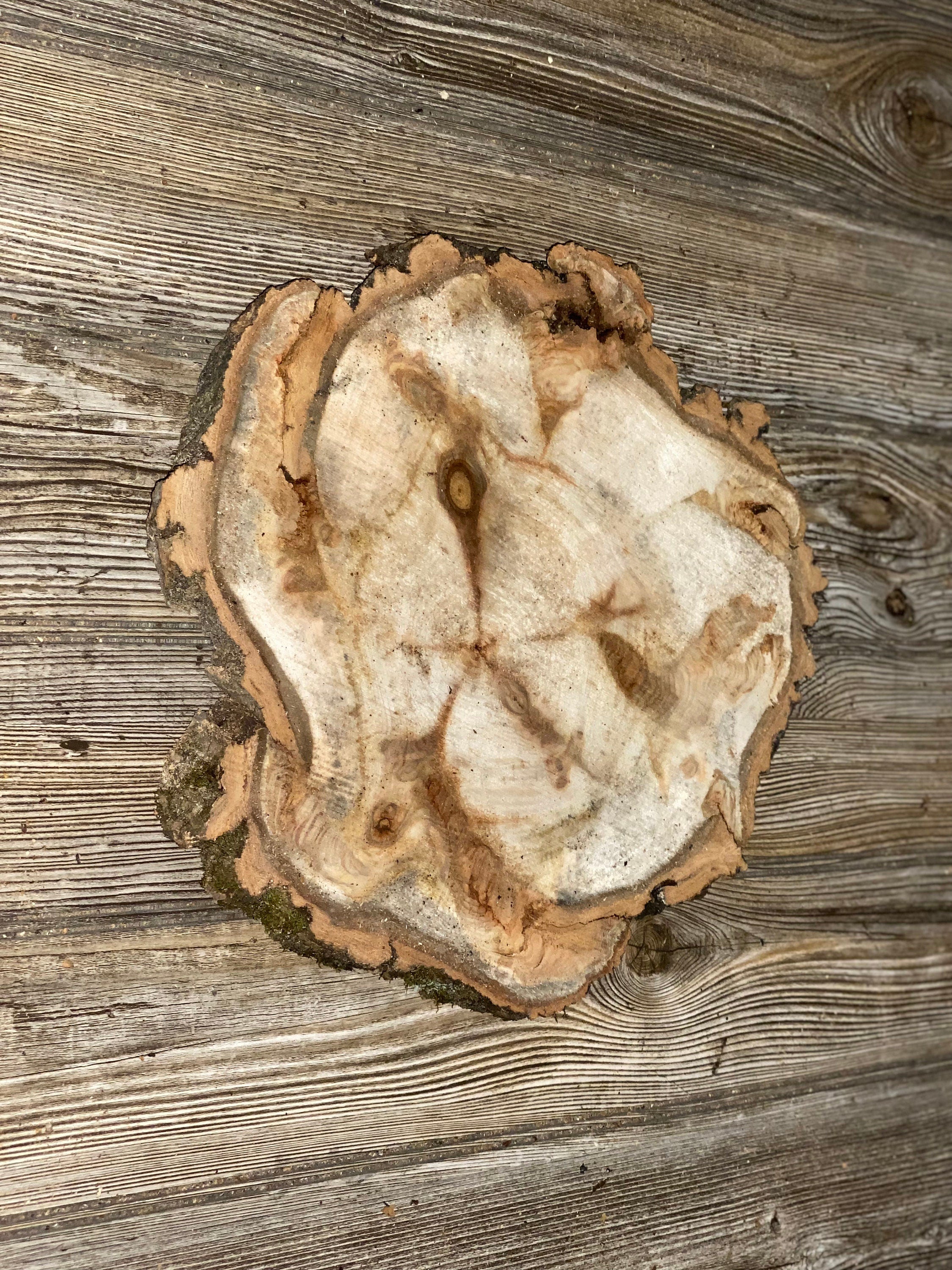 Aspen Burl Slice, Approximately 13 Inches Long by 12 Inches Wide and 3/4 Inches Thick