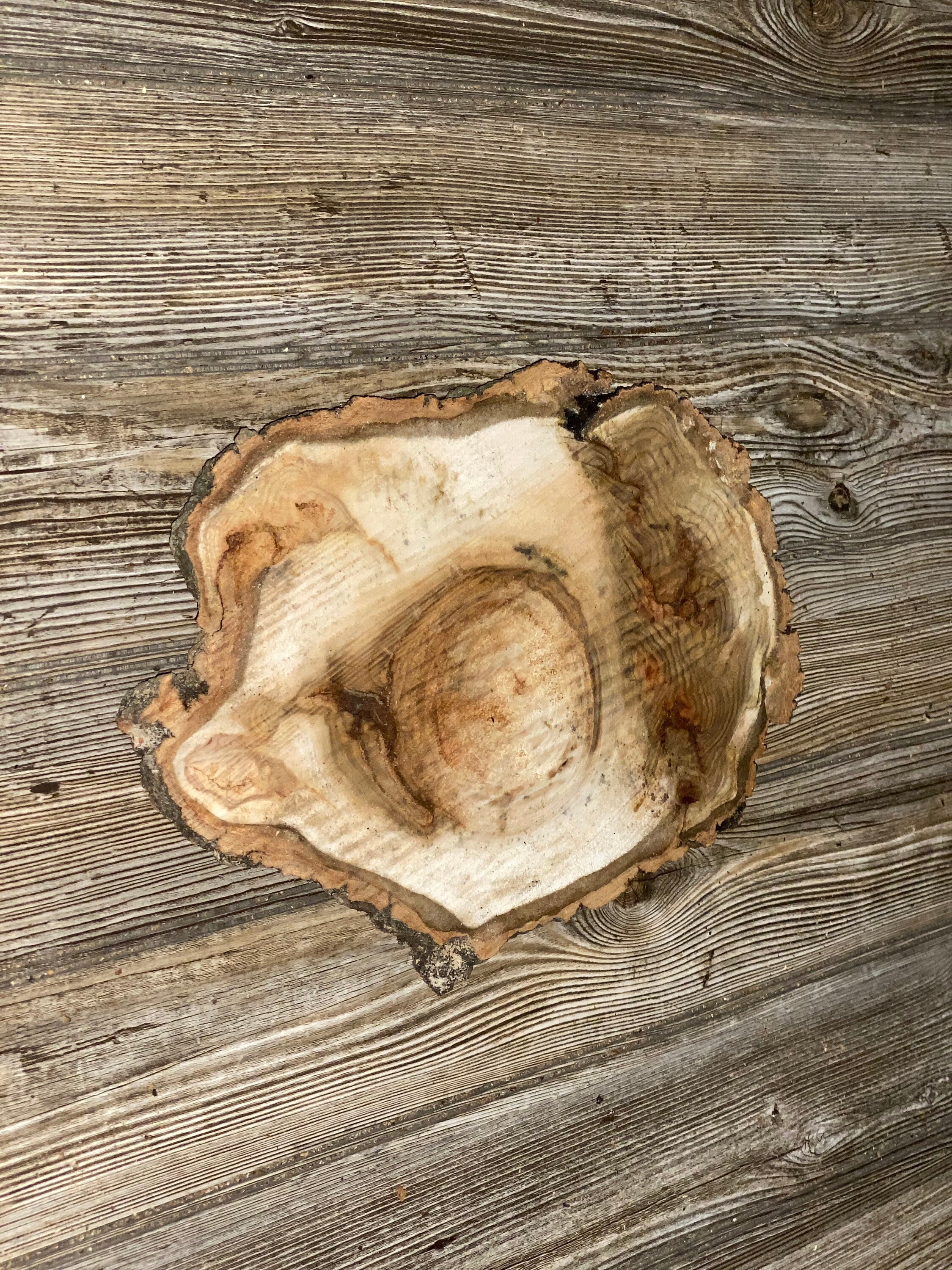 Aspen Burl Slice, Approximately 13.5 Inches Long by 9 Inches Wide and 3/4 Inches Thick