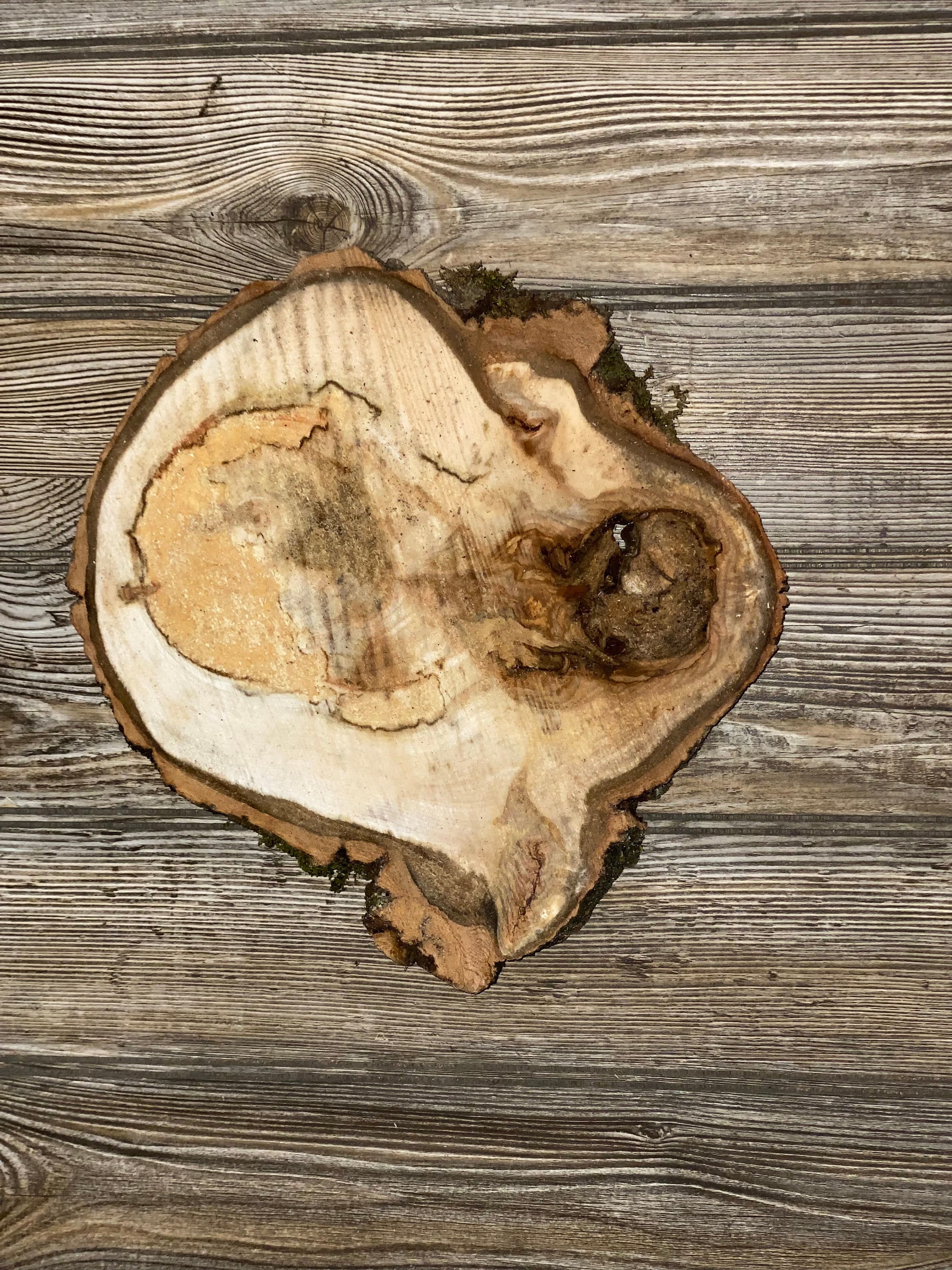 Aspen Burl Slice, Approximately 11 Inches Long by 10.5 Inches Wide and 3/4 Inches Thick