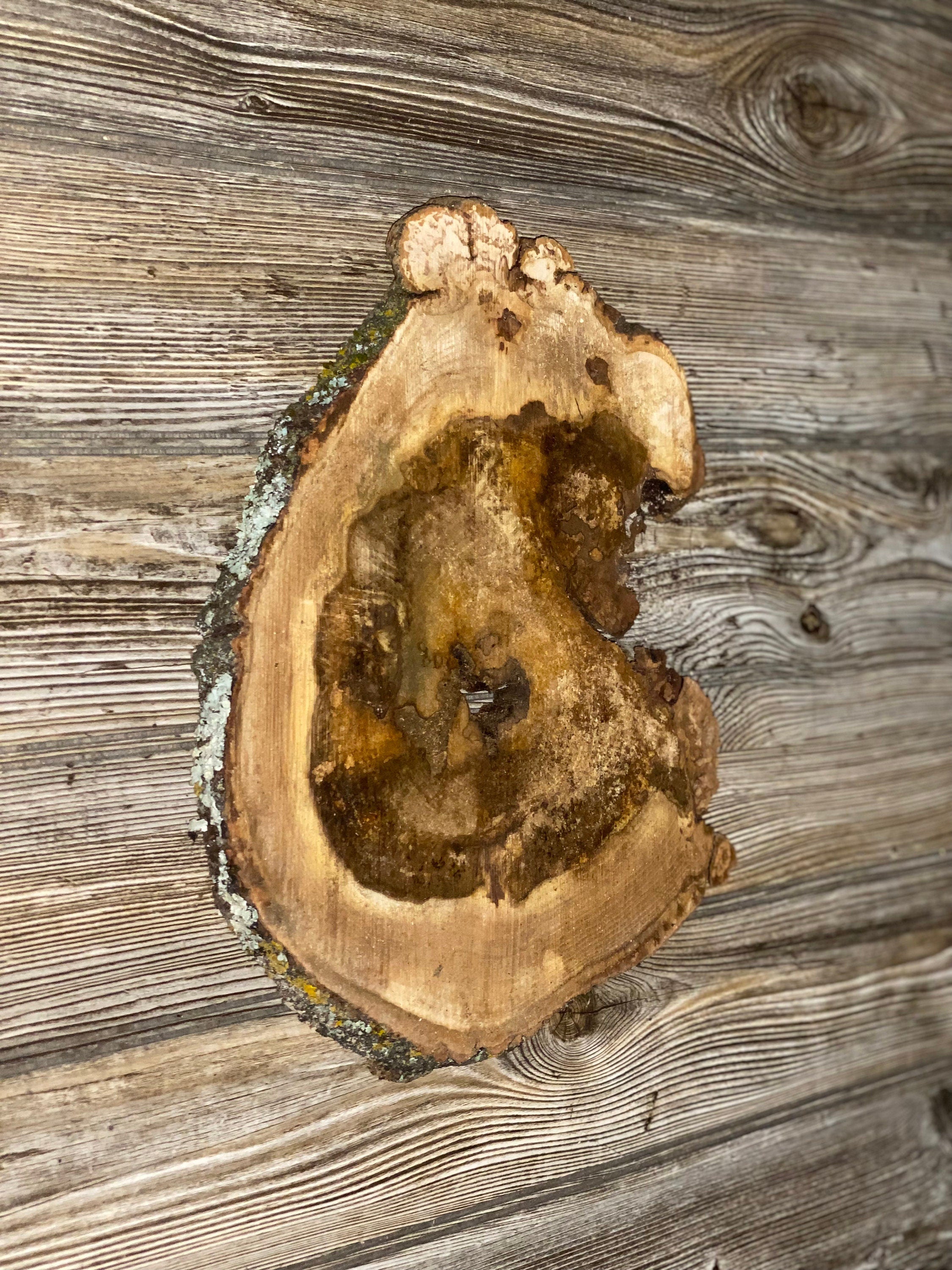 Hickory Burl Slice, Approximately 13 Inches Long by 10 Inches Wide and 3/4 Inch Thick