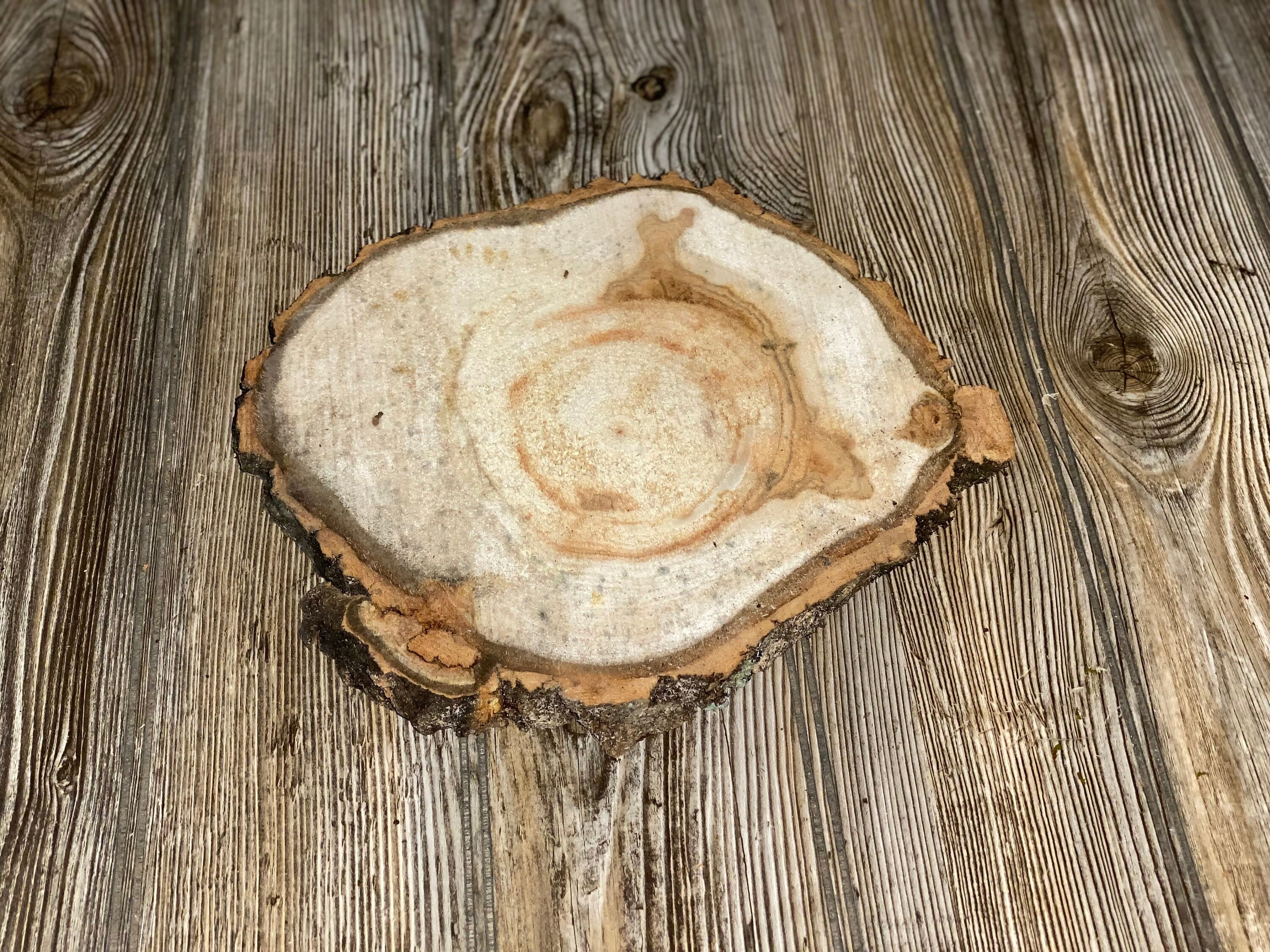 Aspen Burl Slice, Approximately 10 Inches Long by 9 Inches Wide and 3/4 Inches Thick