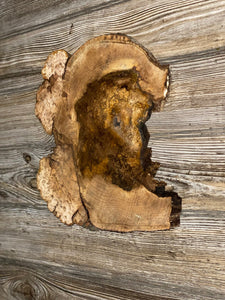 Hickory Burl Slice, Approximately 11.5 Inches Long by 10.5 Inches Wide and 3/4 Inch Thick