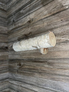 White Birch Log with Conks/Polypores, Approximately 14 Inches Long by 3.5 Inches Diameter